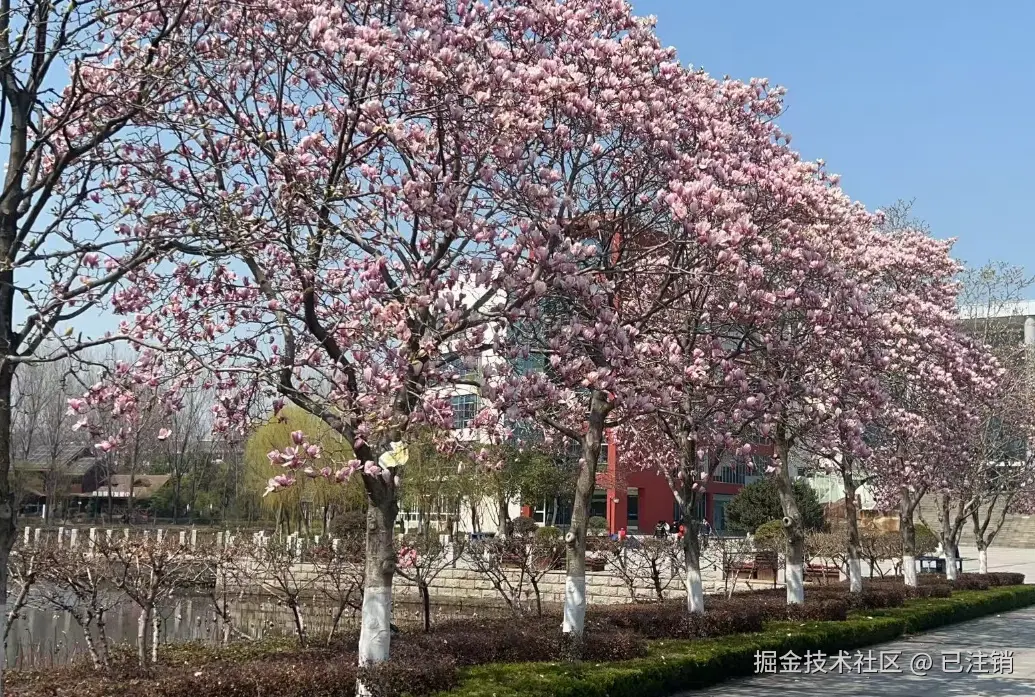 已注销于2025-03-20 08:38发布的图片