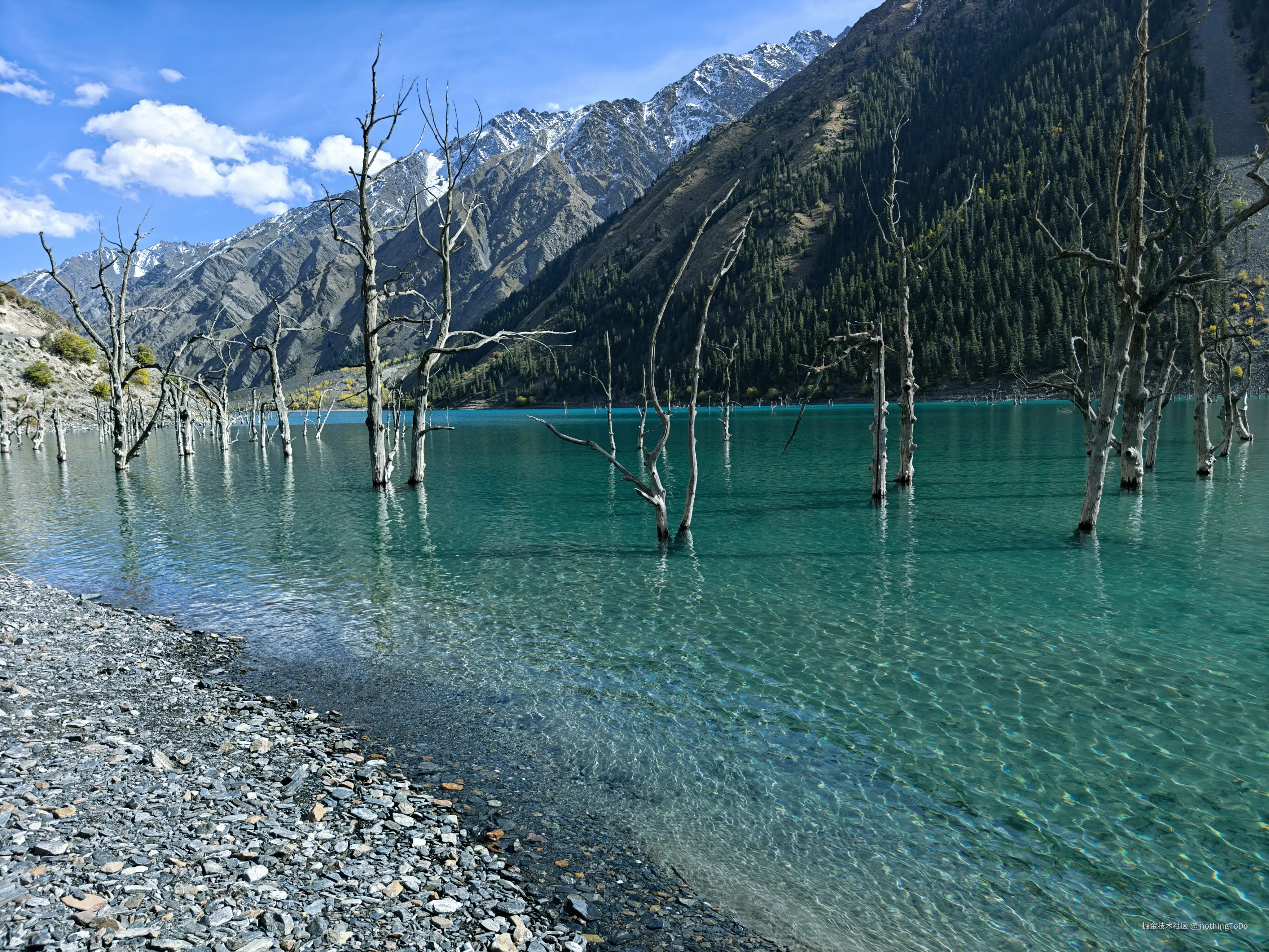 nothingToDo于2025-04-10 14:59发布的图片