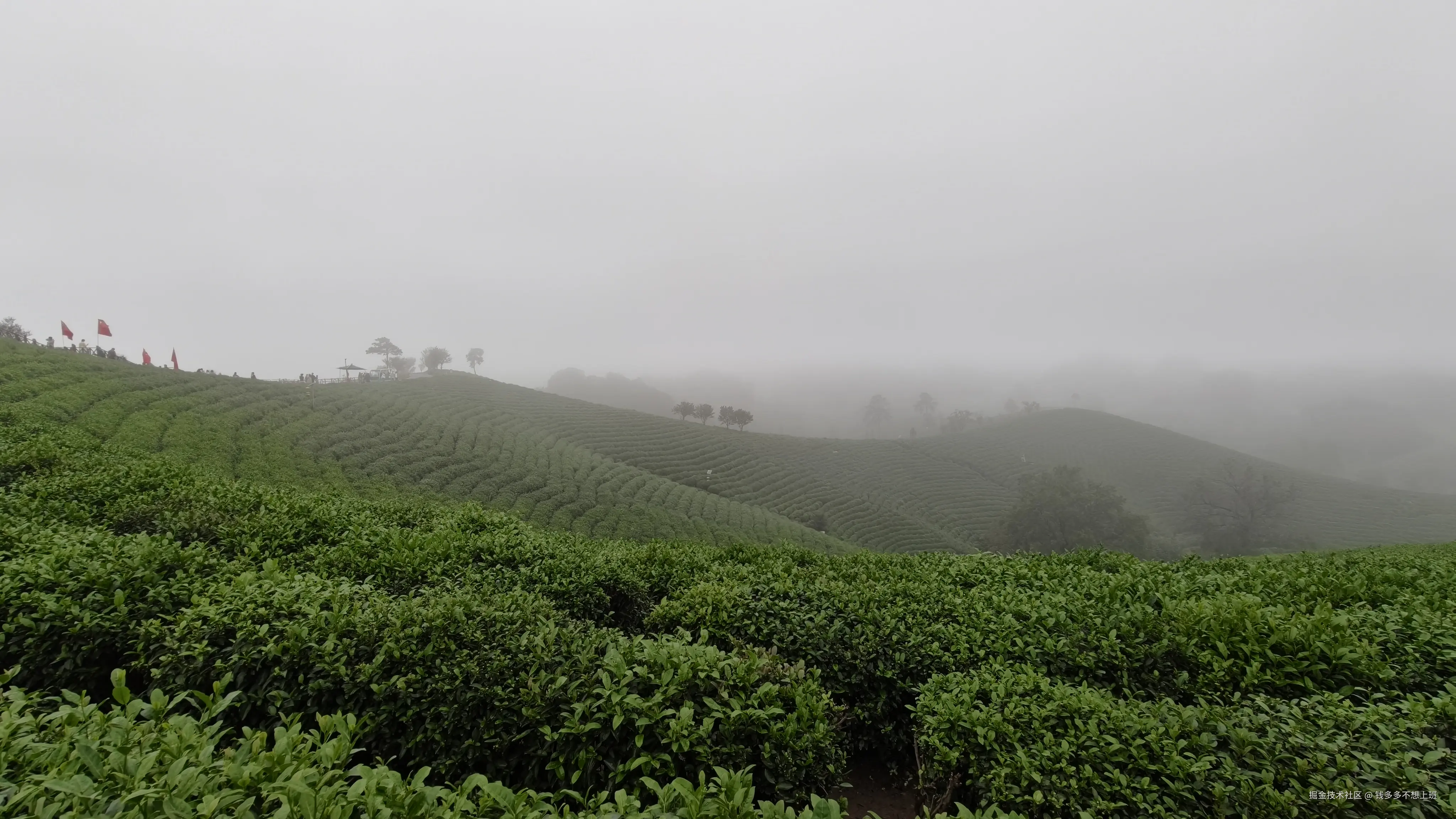 钱多多不想上班于2025-10-14 13:57发布的图片