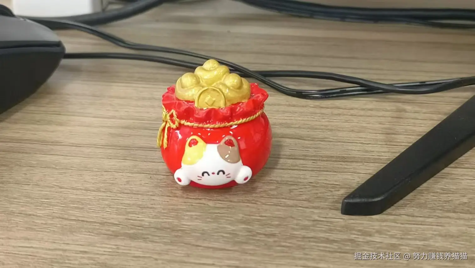 努力赚钱养猫猫于2024-08-14 17:50发布的图片