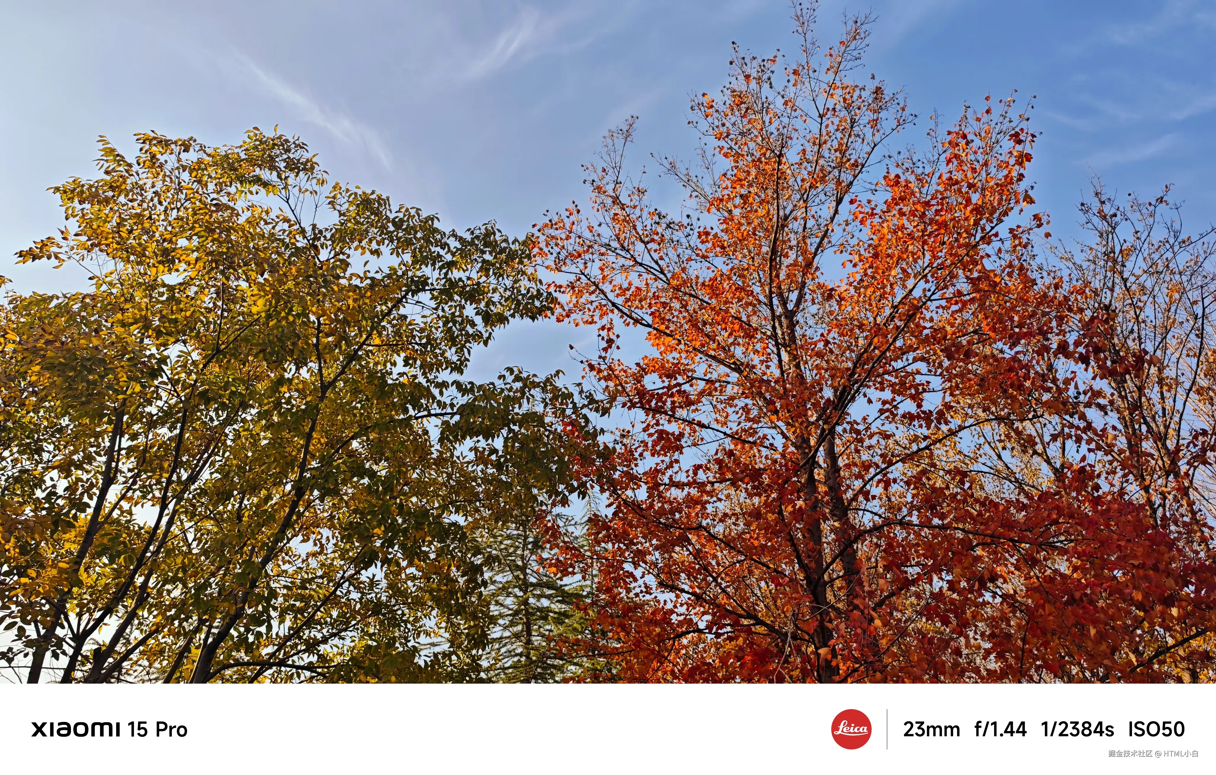 HTML小白于2025-11-03 10:31发布的图片