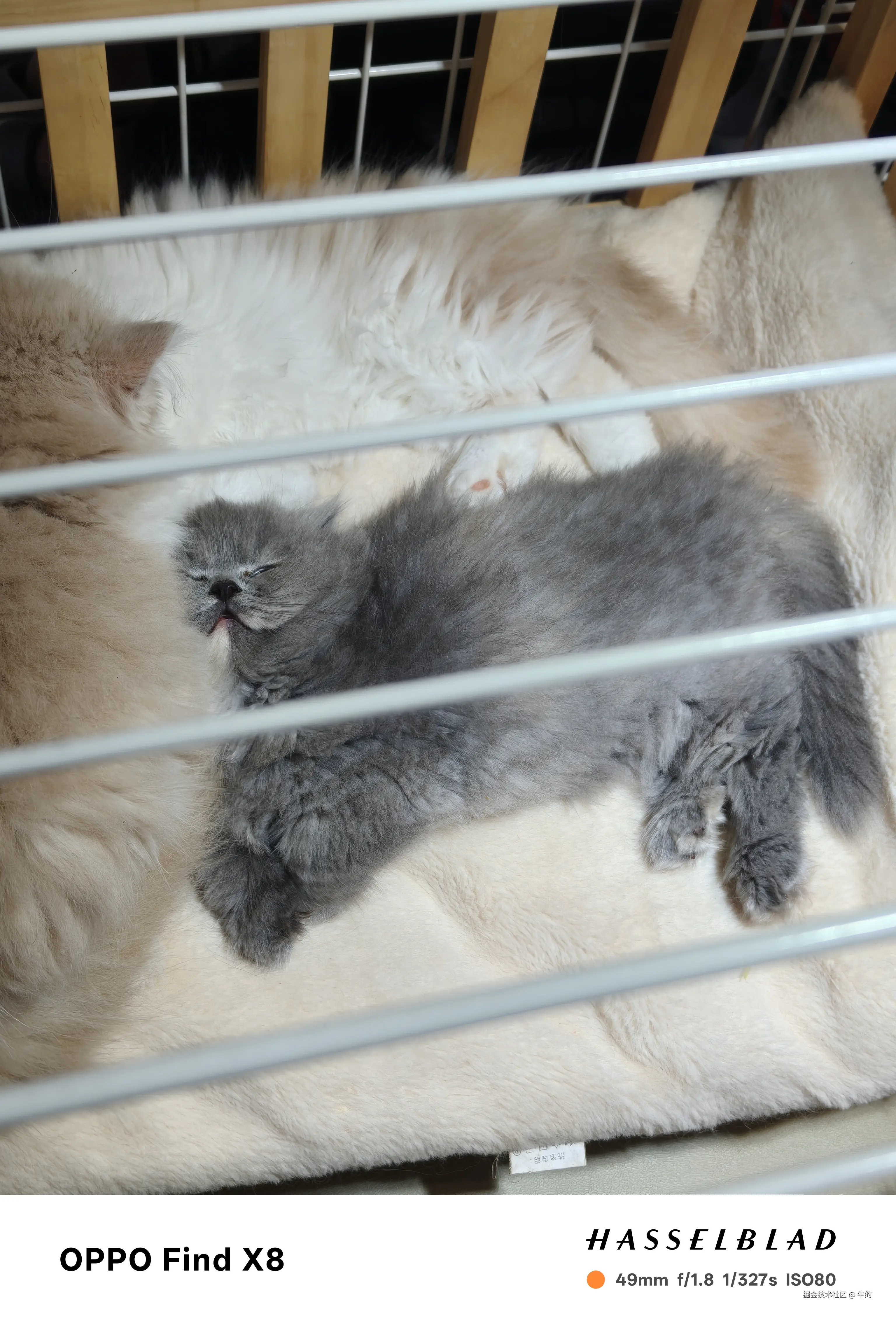 牛的于2025-04-07 10:13发布的图片