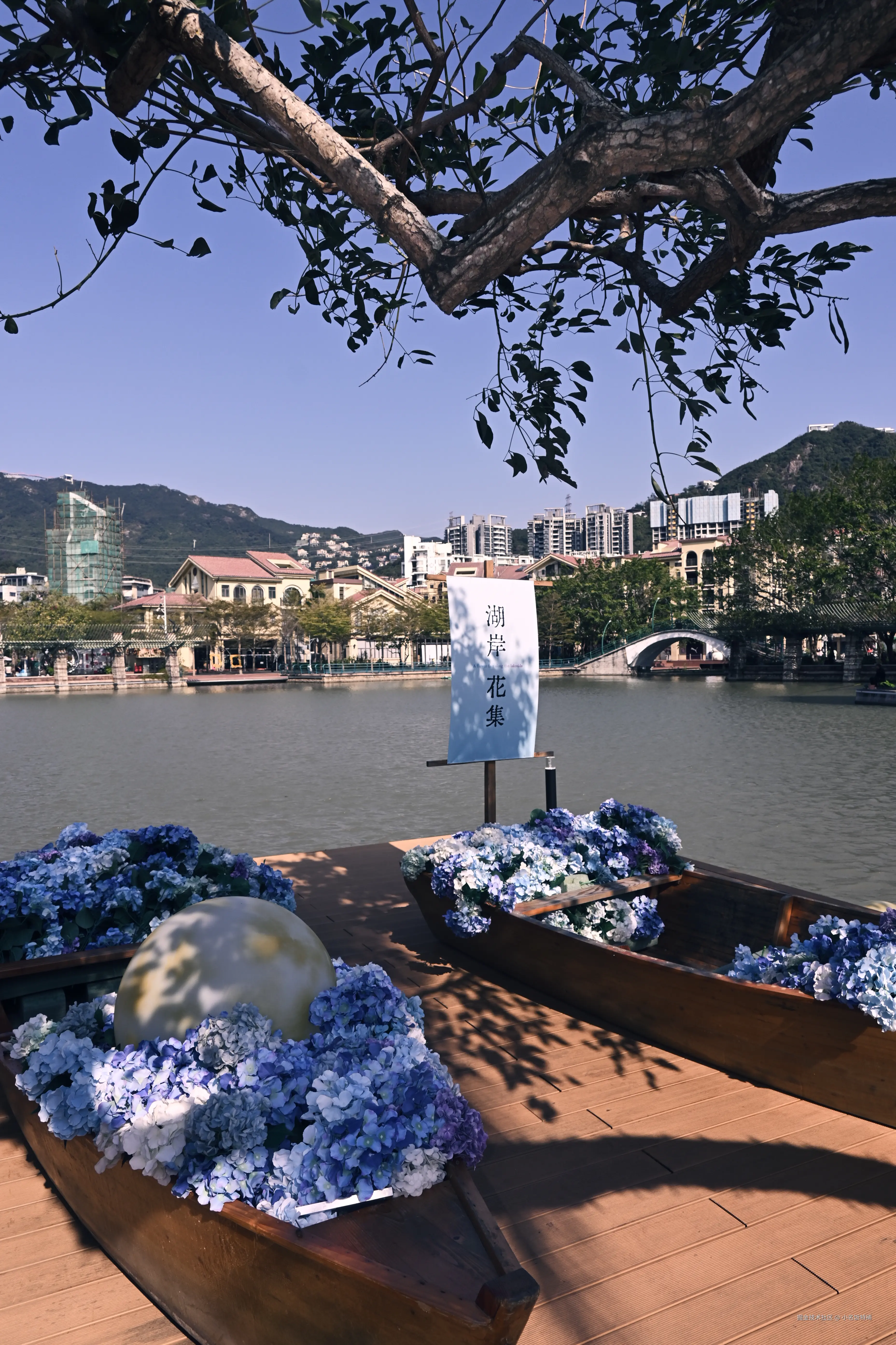 小名饭特稀于2026-01-12 01:10发布的图片