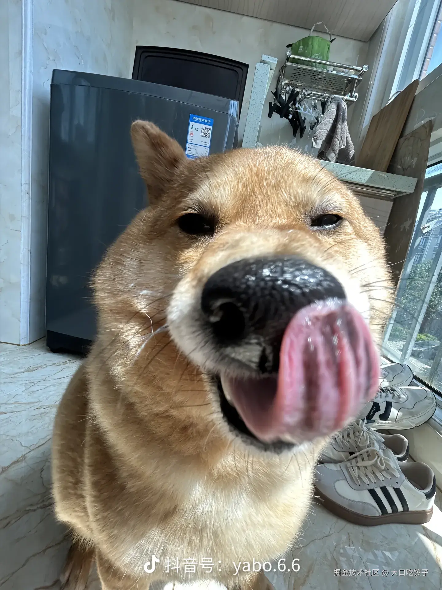 大口吃饺子于2025-04-22 12:48发布的图片