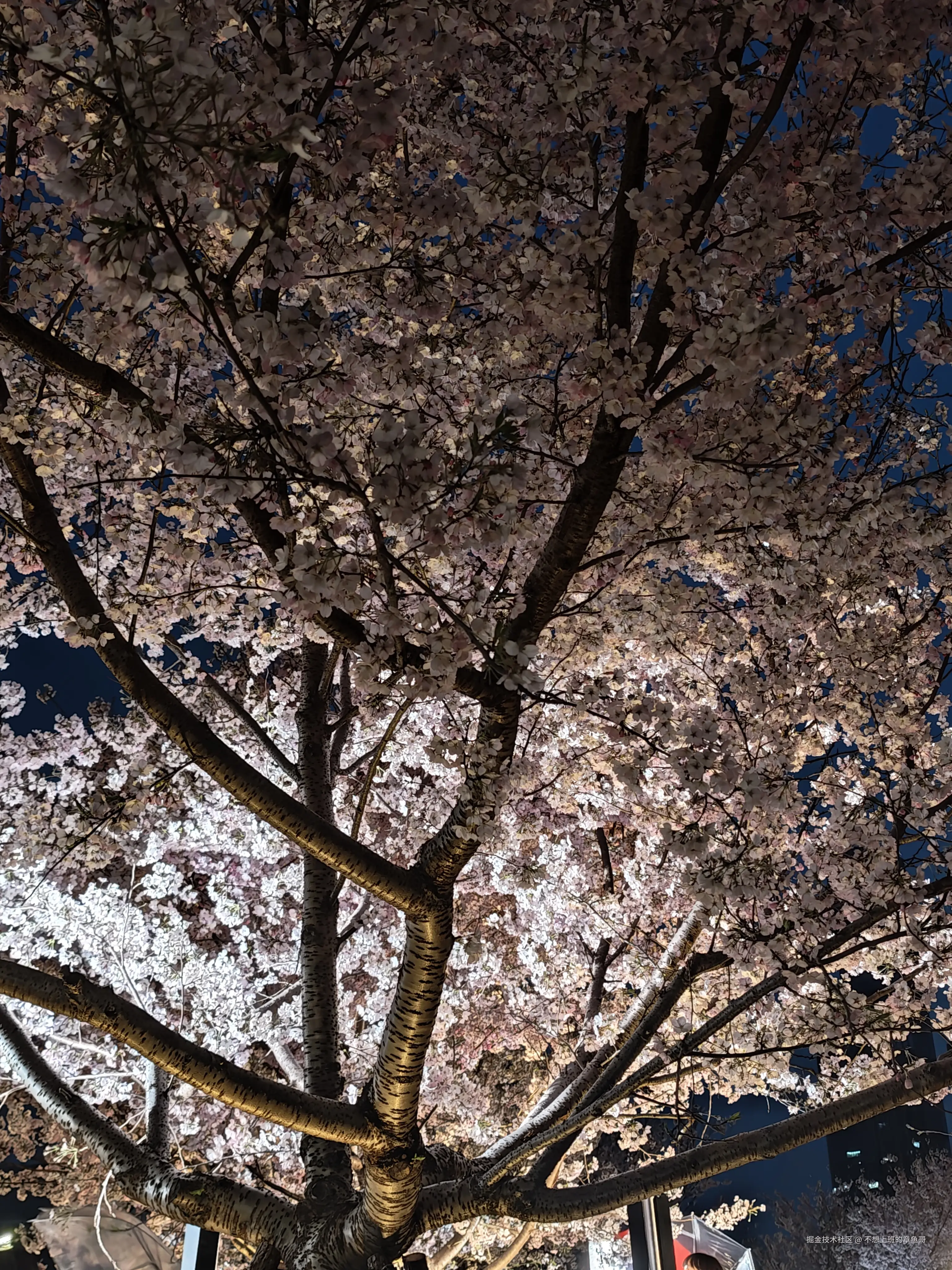 不想上班的章鱼哥于2025-03-21 15:03发布的图片