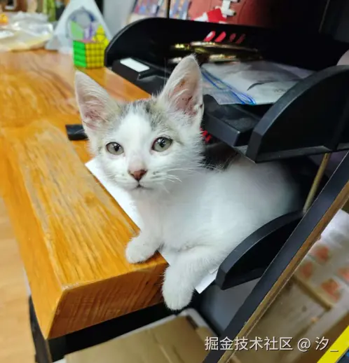 汐_于2025-06-27 12:05发布的图片