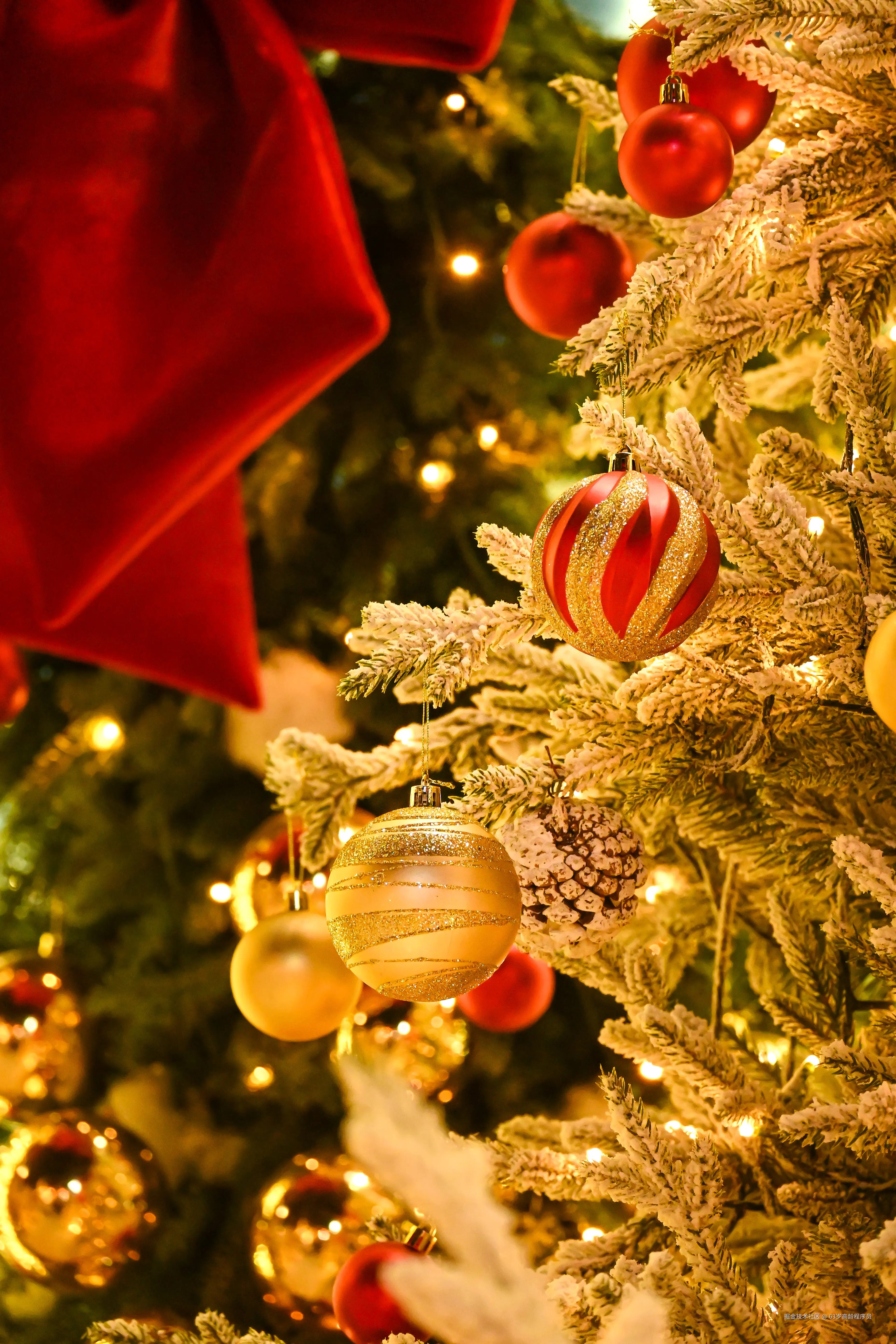 63岁高龄程序员于2025-12-19 09:26发布的图片