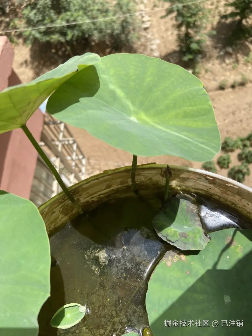 已注销于2025-06-15 13:20发布的图片