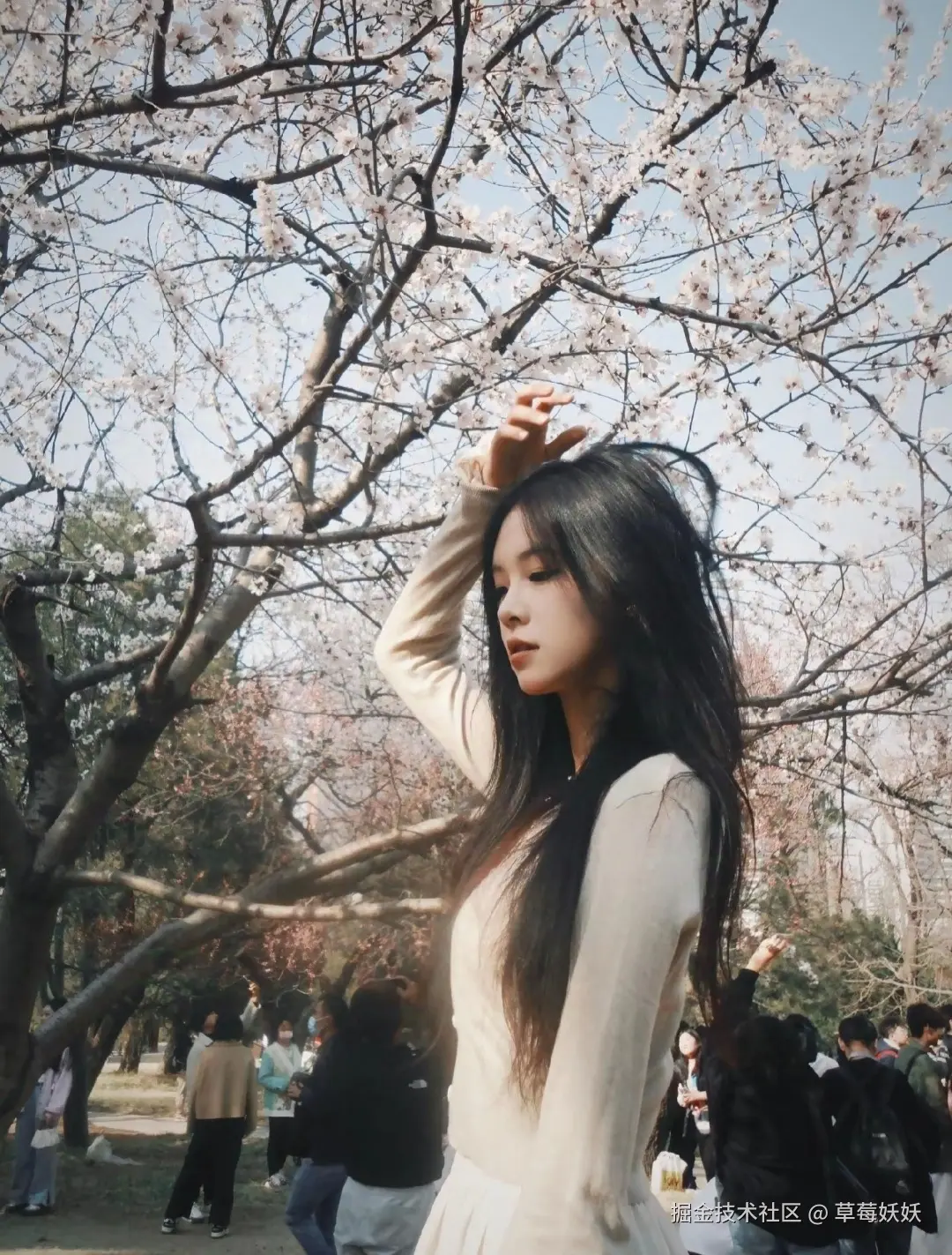 草莓妖妖于2024-10-08 09:00发布的图片