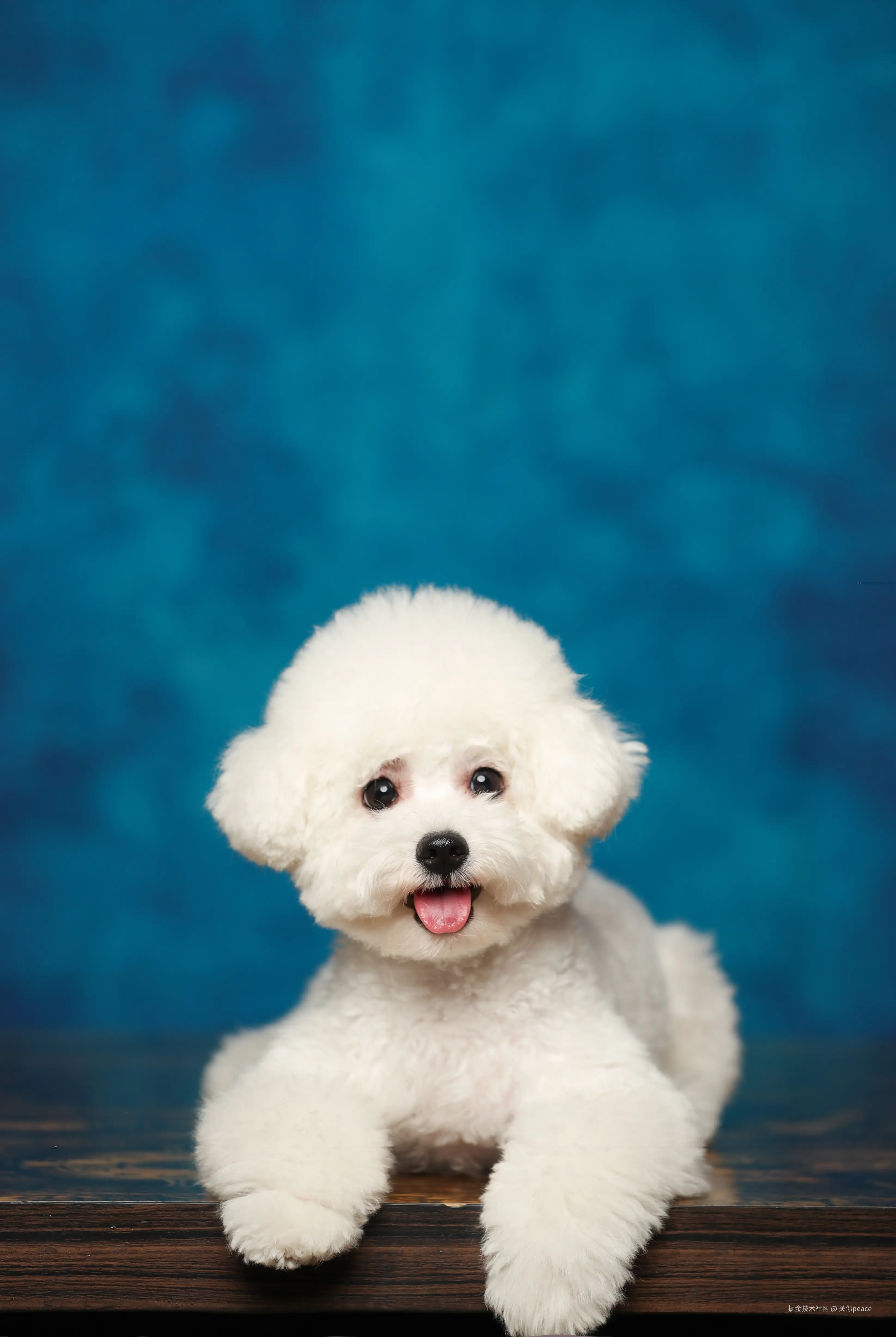 关你peace于2024-10-14 15:59发布的图片