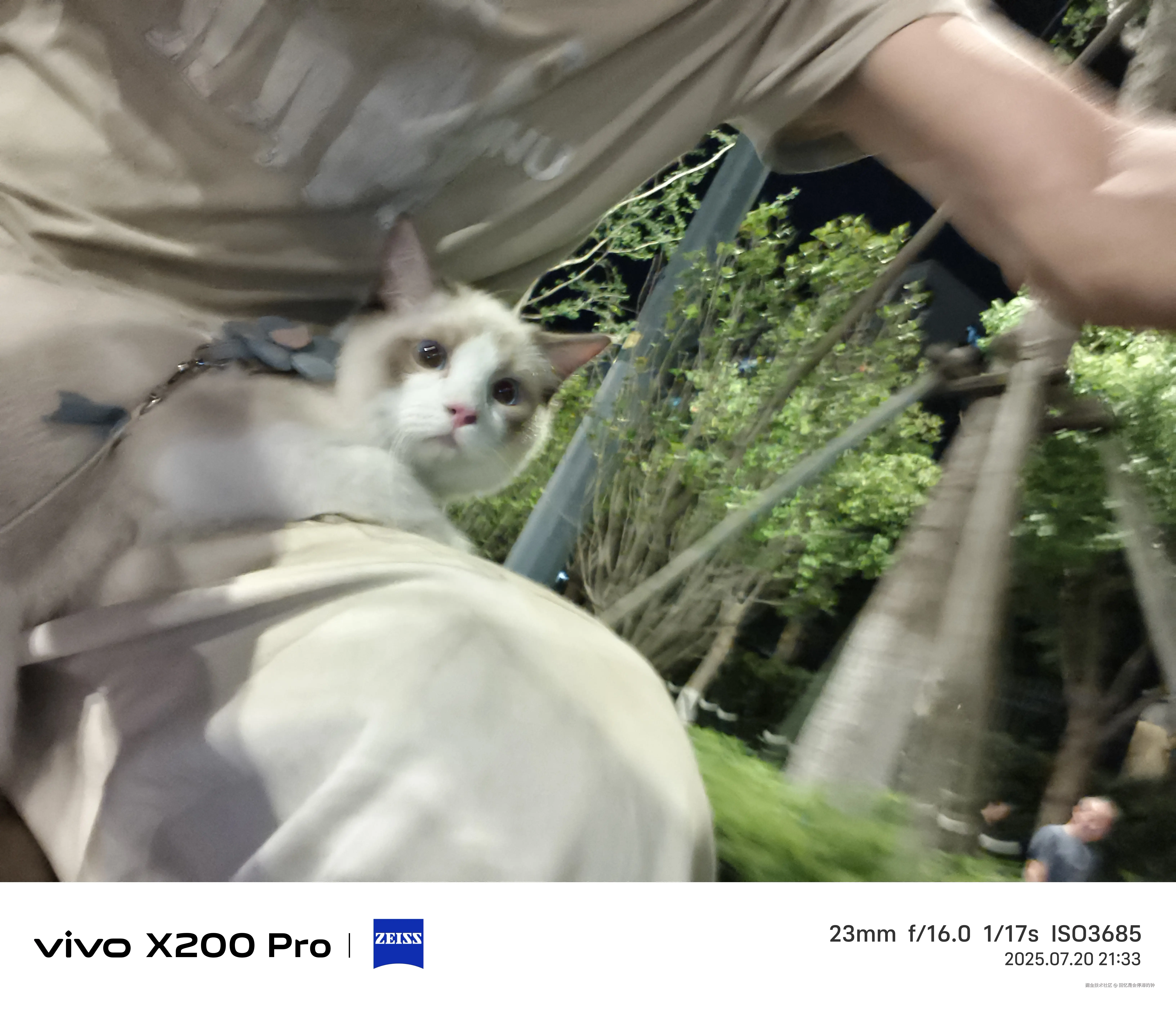 回忆是会停滞的钟于2025-07-21 09:38发布的图片