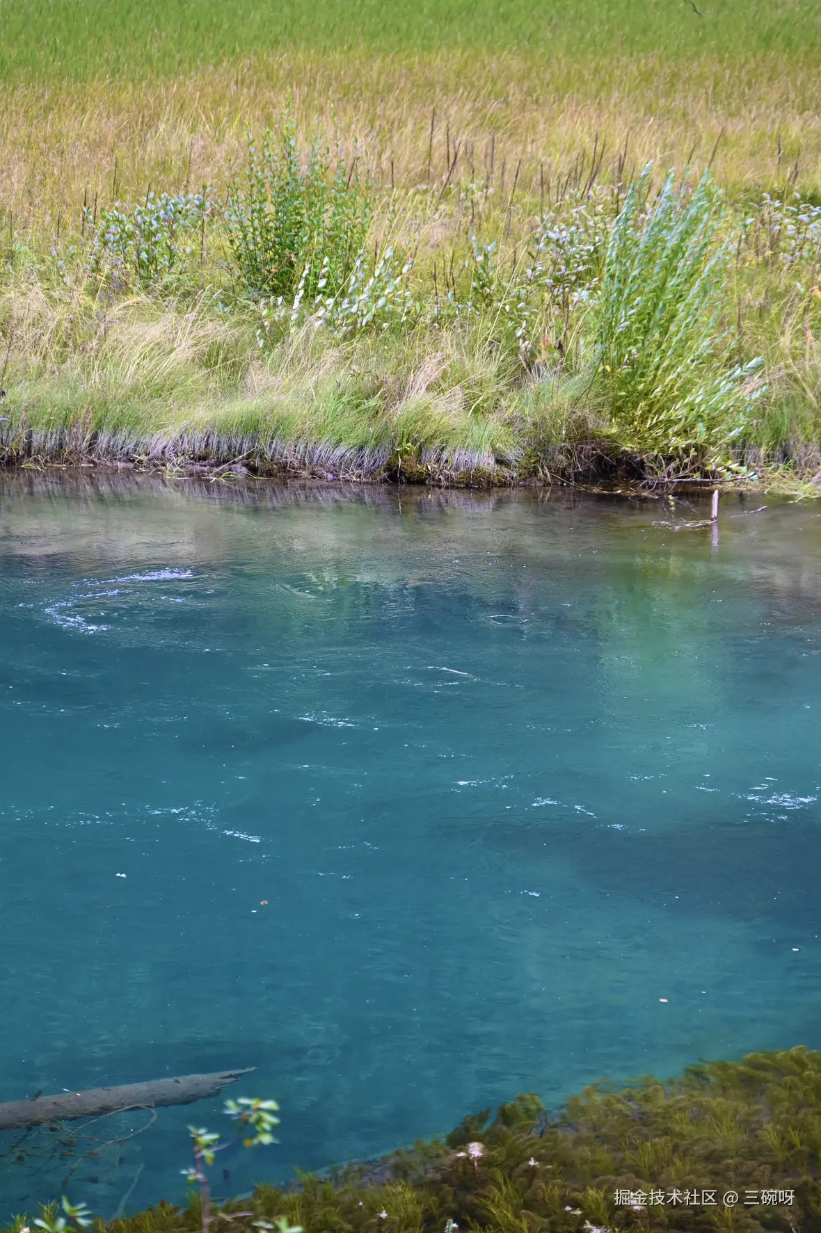 三碗呀于2025-11-19 16:23发布的图片