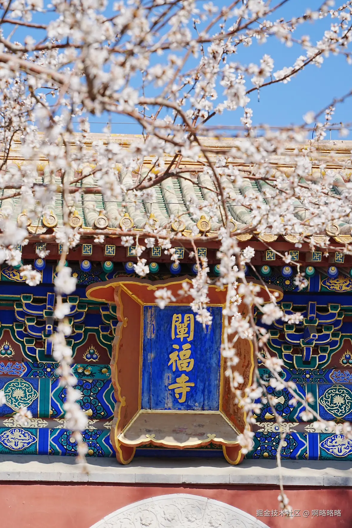 啊略略略于2025-03-17 10:14发布的图片