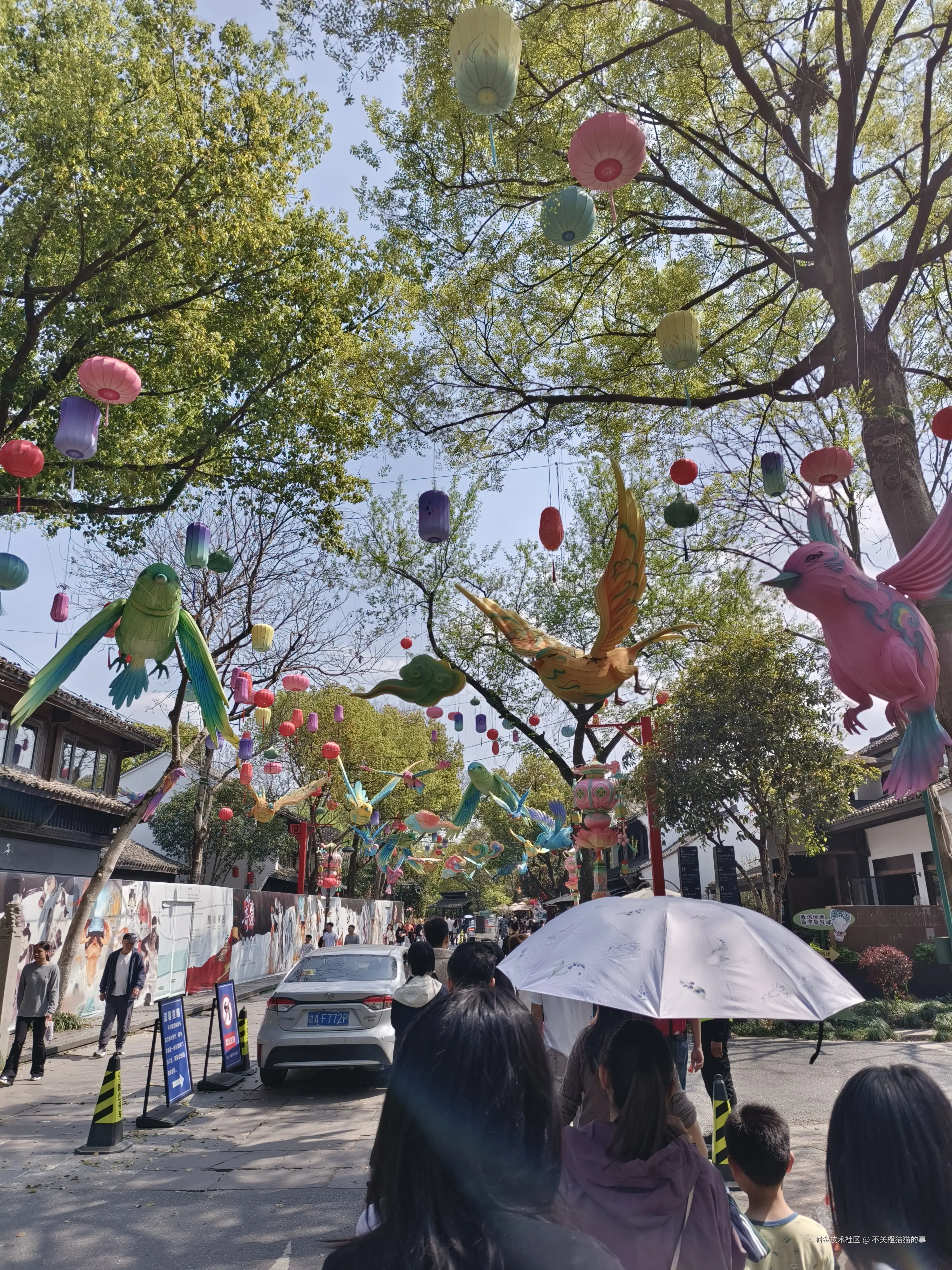 不关橙猫猫的事于2026-03-30 10:59发布的图片