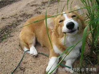 李泽楷于2025-07-03 09:54发布的图片