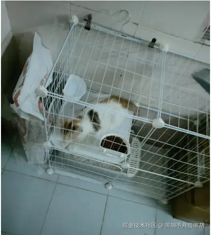 哪胡不开提哪胡于2024-10-14 09:27发布的图片