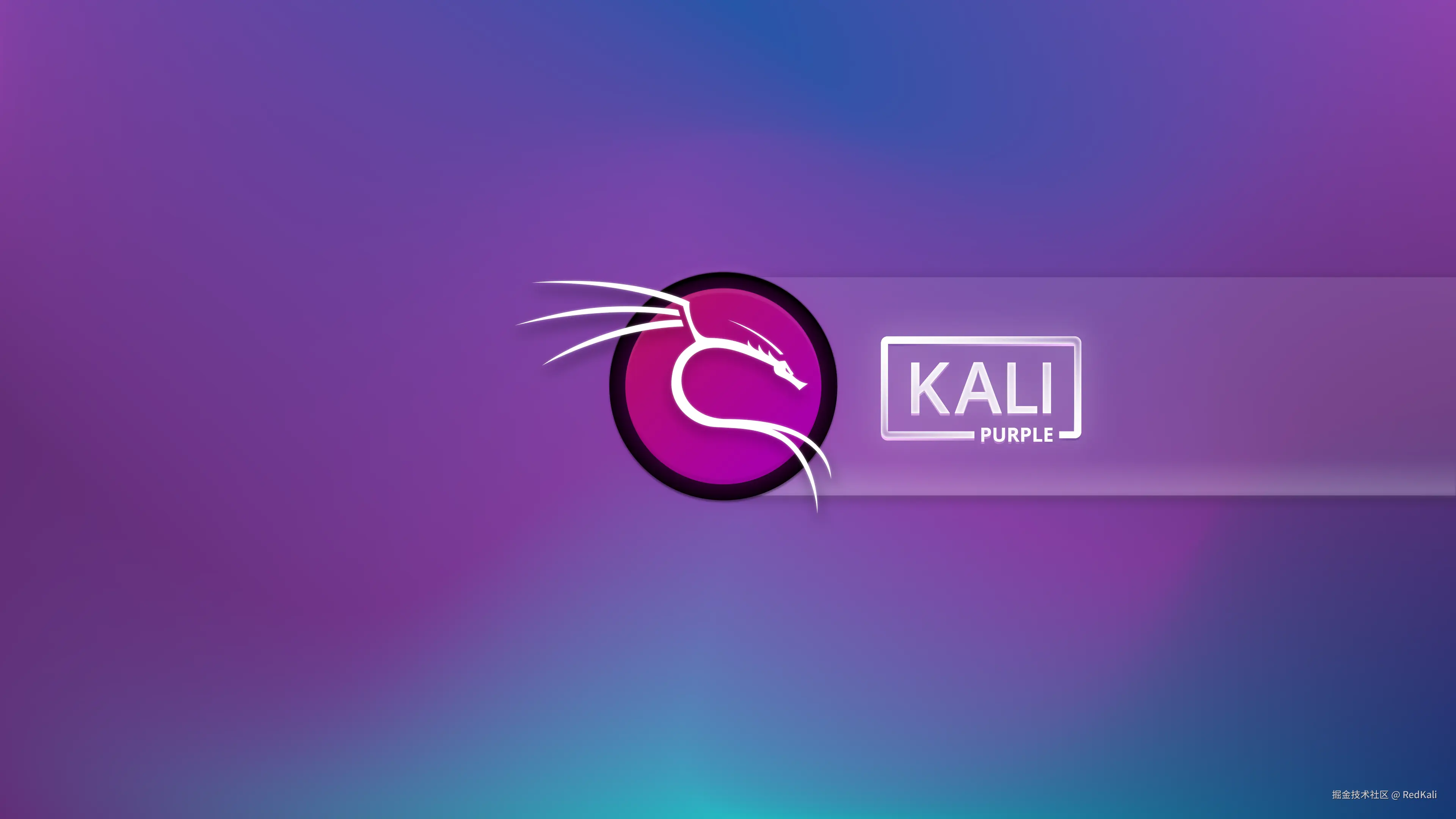 kali linux
