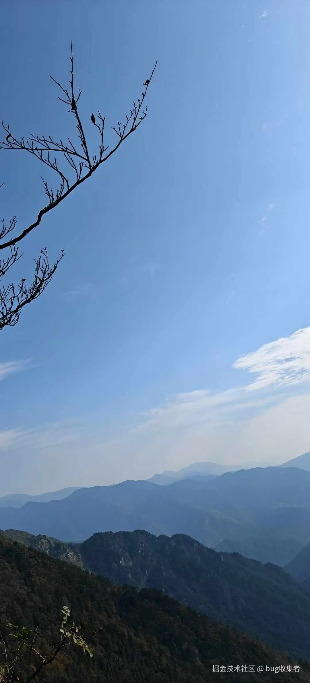 bug收集者于2025-11-03 11:16发布的图片