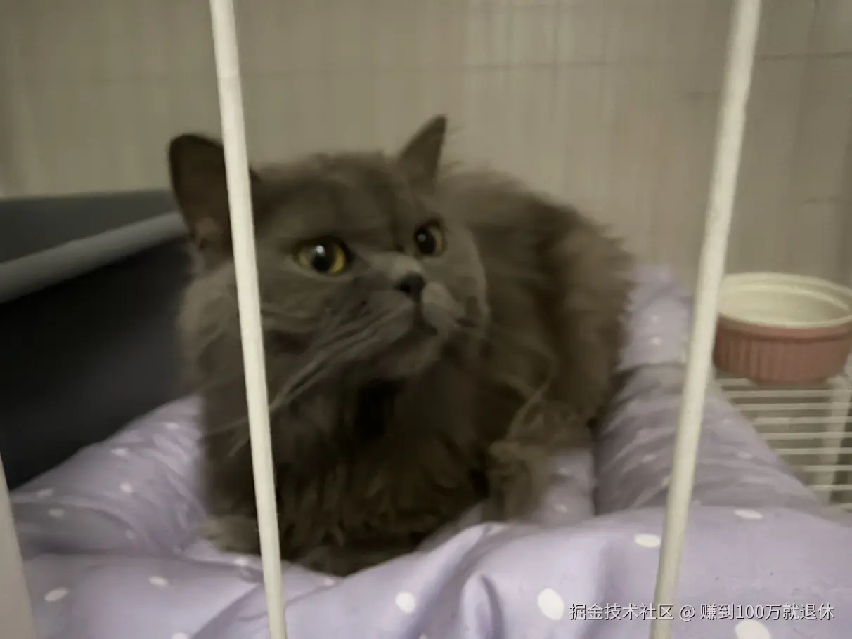 赚到100万就退休于2026-04-08 15:58发布的图片