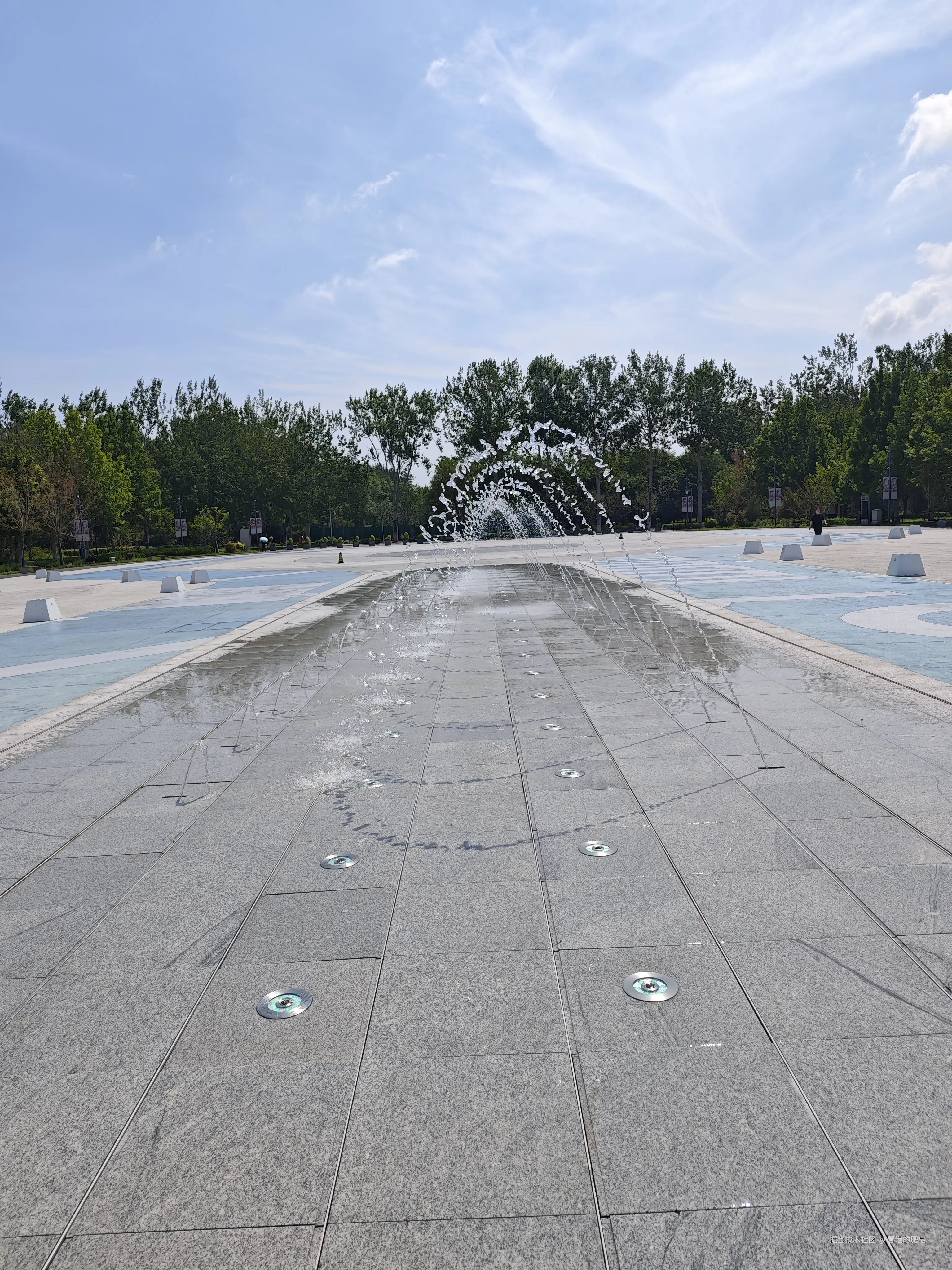 冒泡的肥皂于2025-07-05 10:17发布的图片