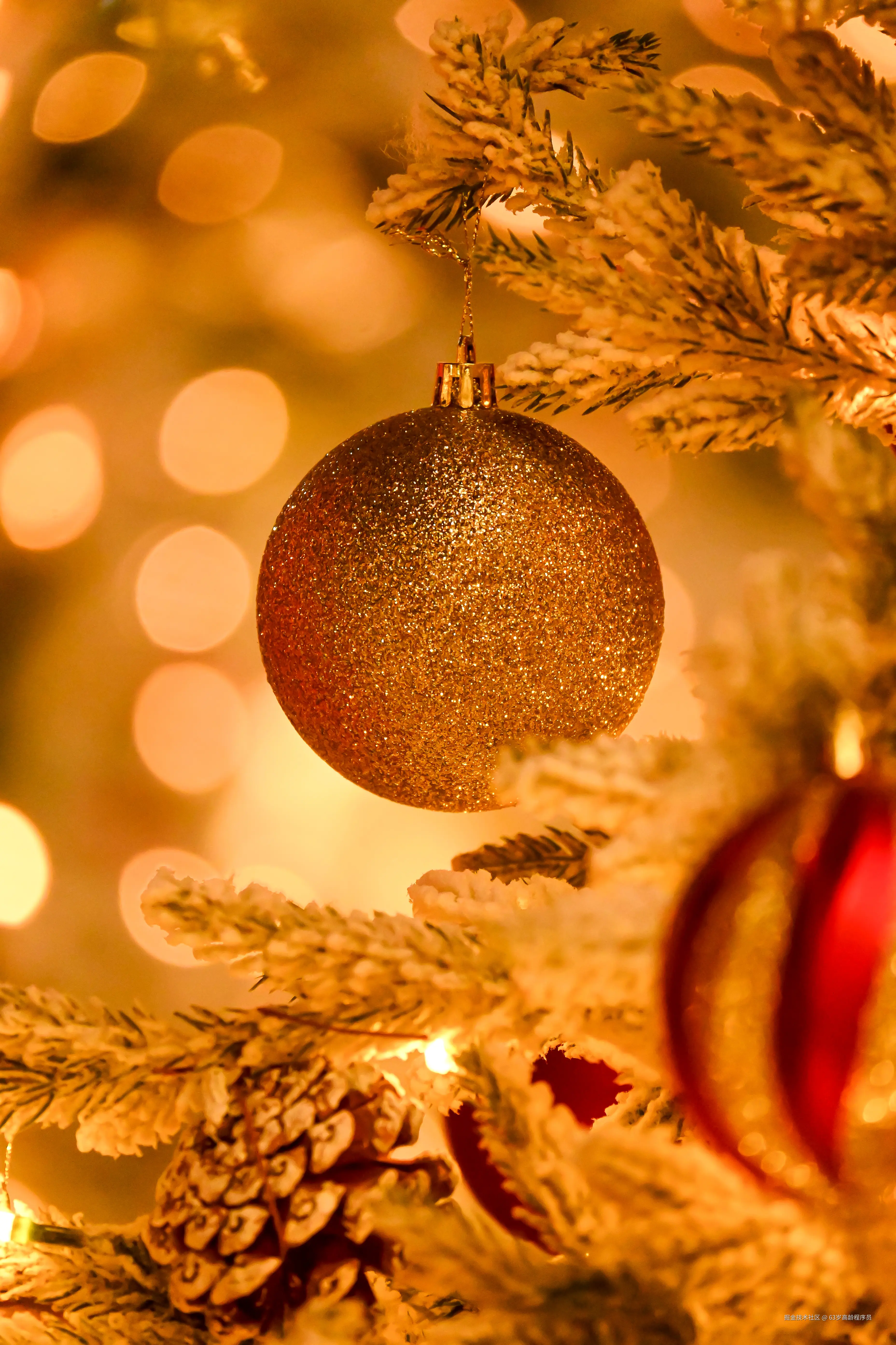 63岁高龄程序员于2025-12-19 01:26发布的图片