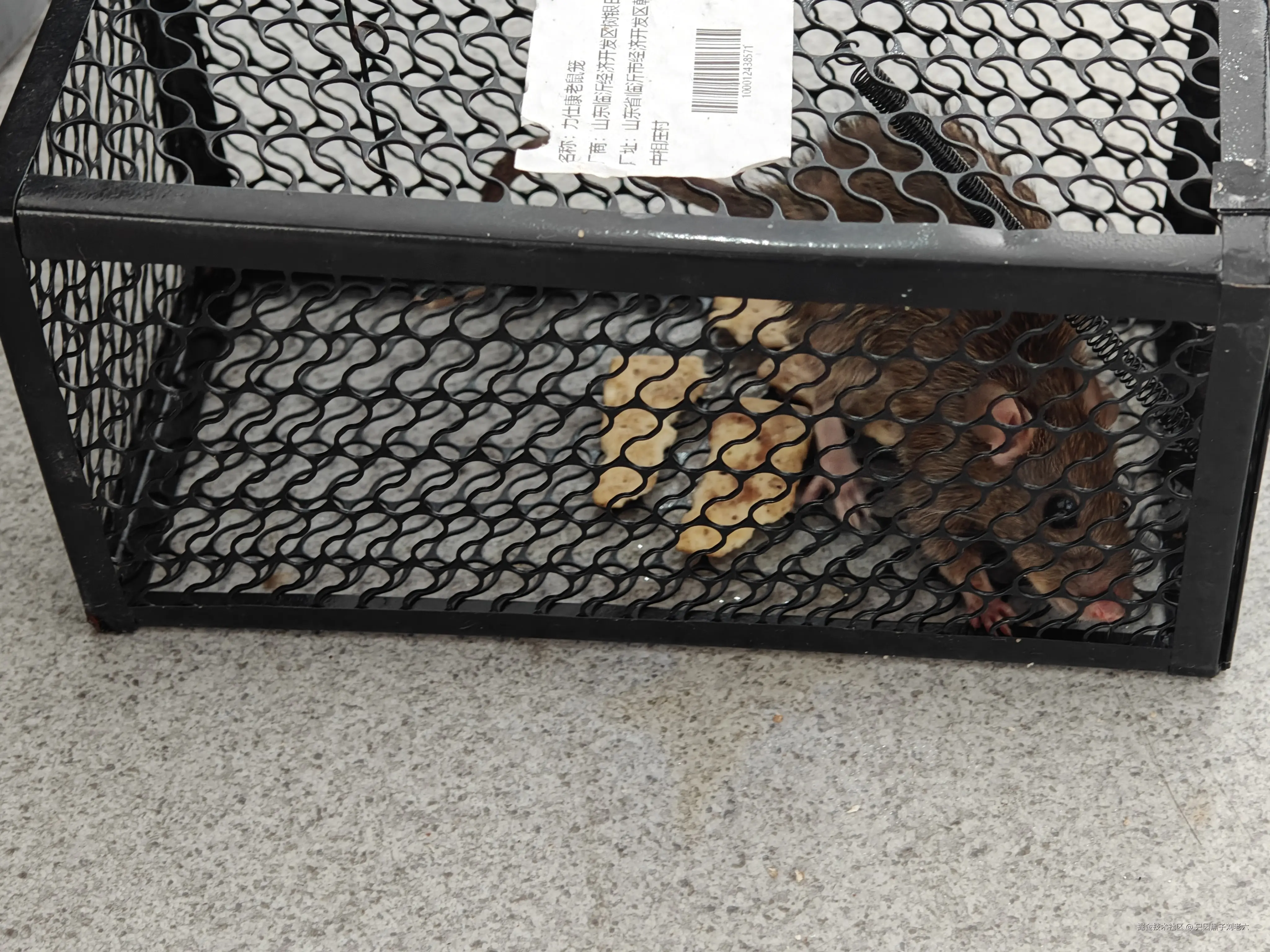 只因黑子刘老六于2024-09-18 09:47发布的图片