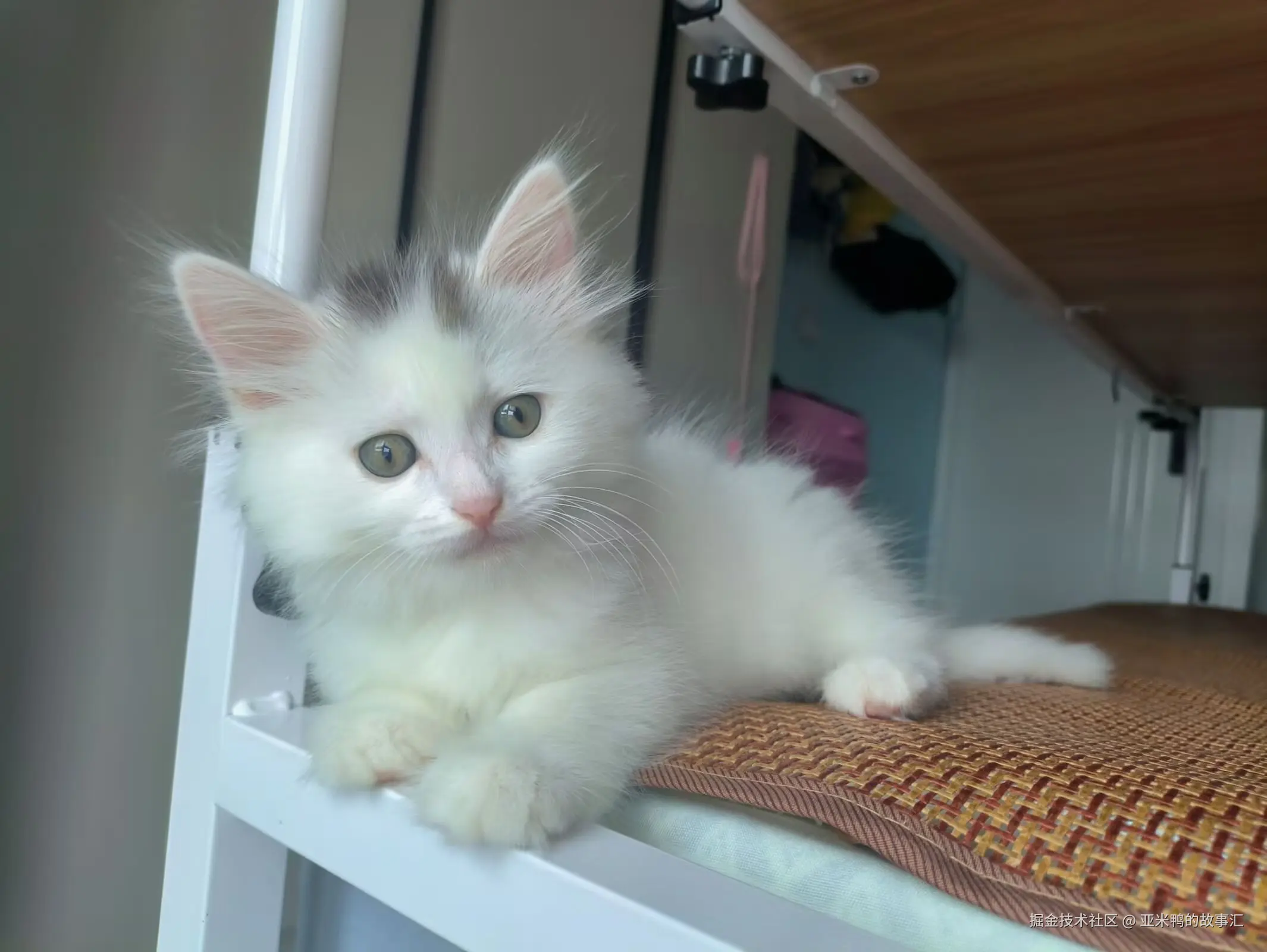 亚米鸭的故事汇于2025-06-19 11:05发布的图片