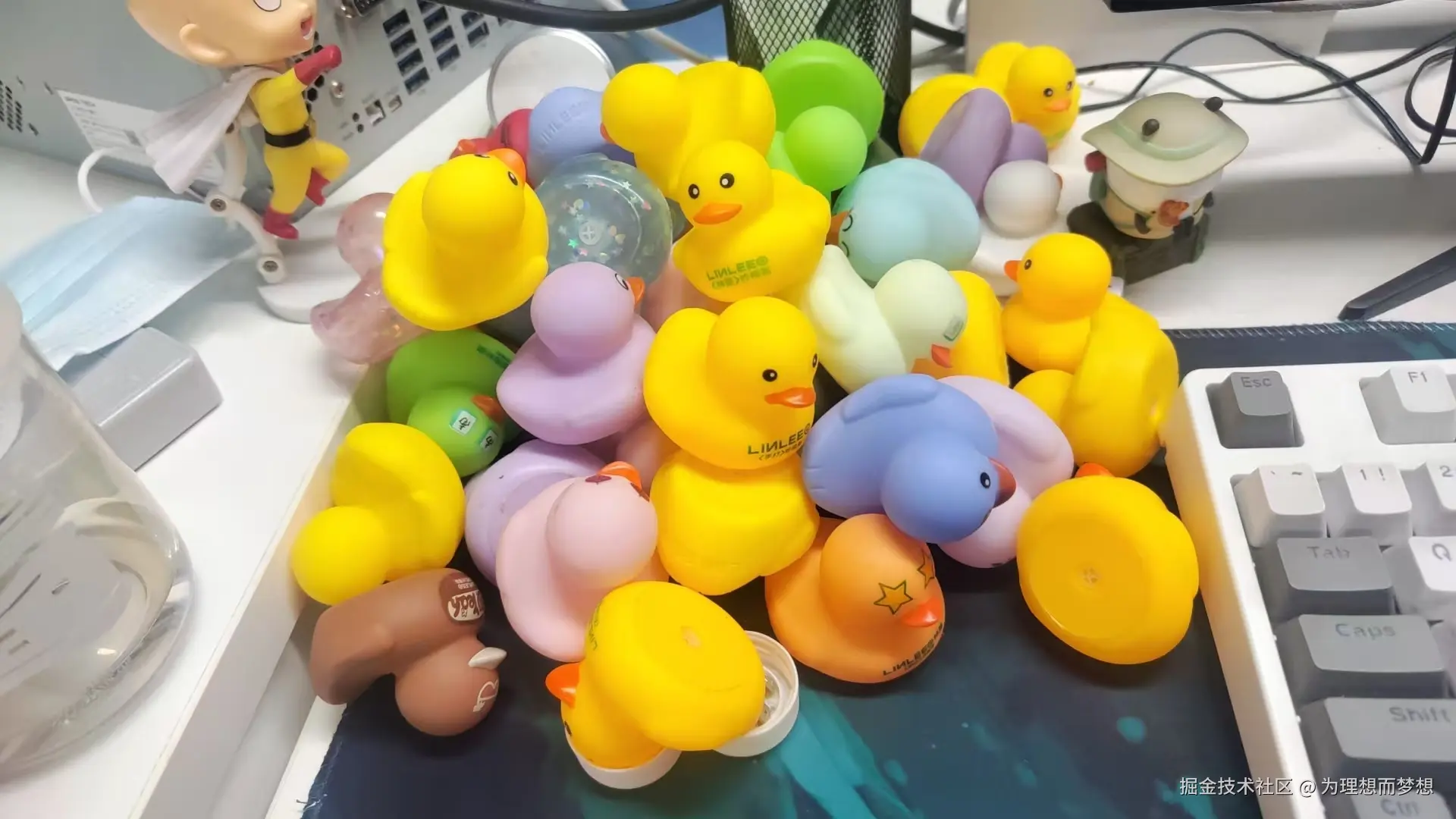 为理想而梦想于2025-11-24 07:57发布的图片