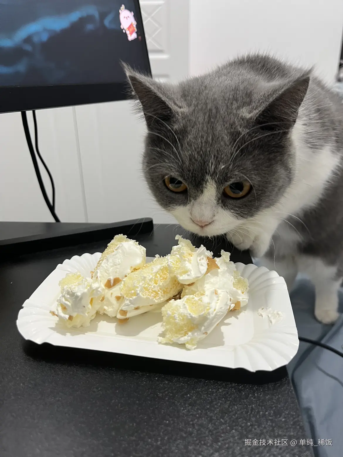 单纯_稀饭于2024-11-27 08:35发布的图片