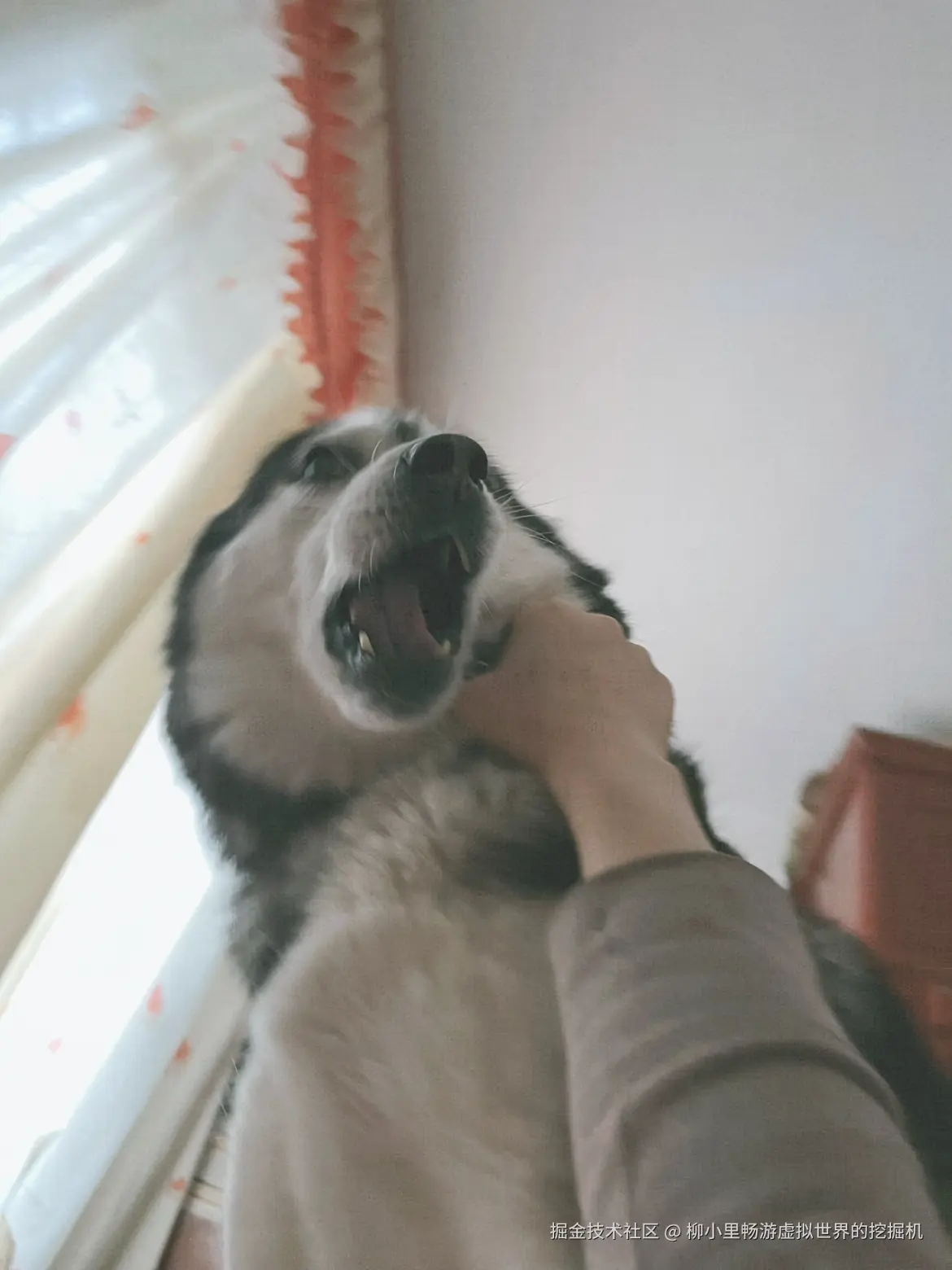 柳小里畅游虚拟世界的挖掘机于2025-11-27 10:58发布的图片