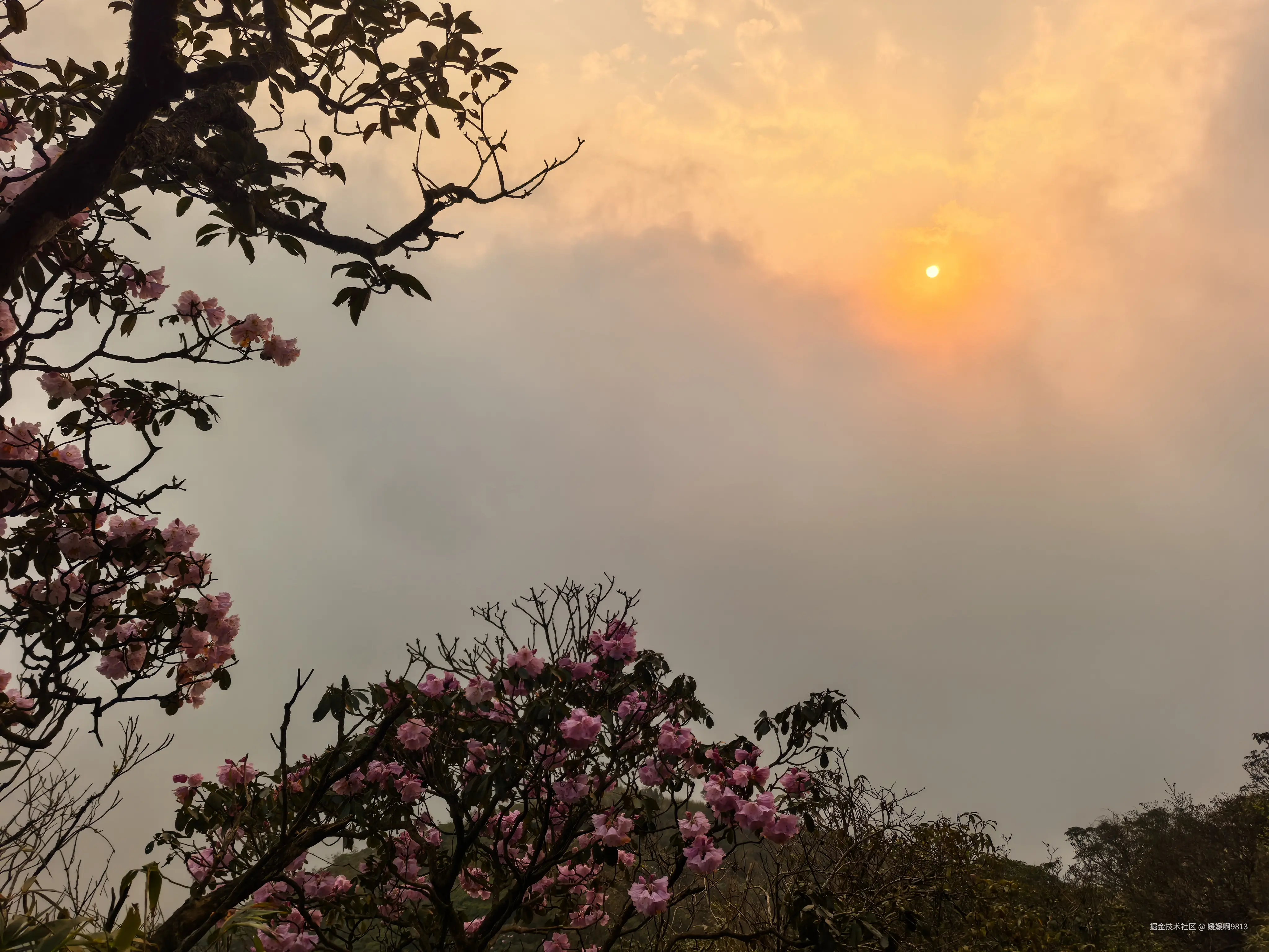 媛媛啊9813于2026-04-14 22:41发布的图片