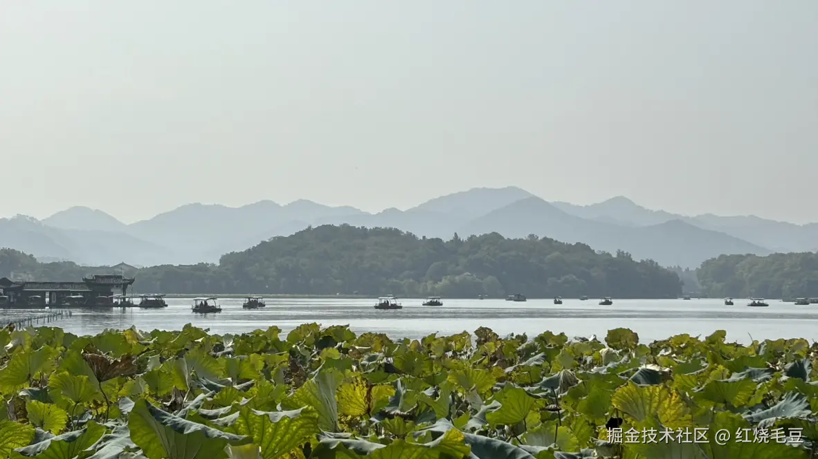 红烧毛豆于2025-11-03 09:30发布的图片