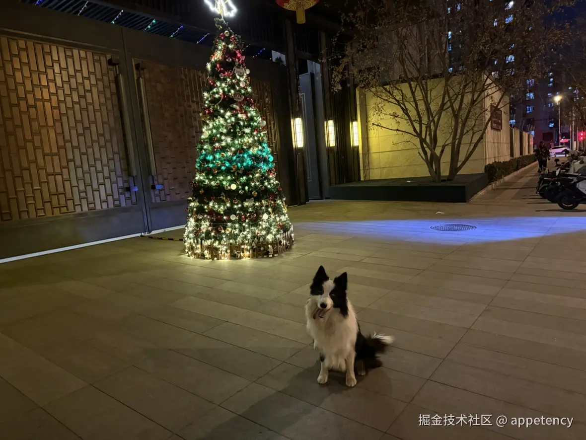 appetency于2024-12-31 08:23发布的图片