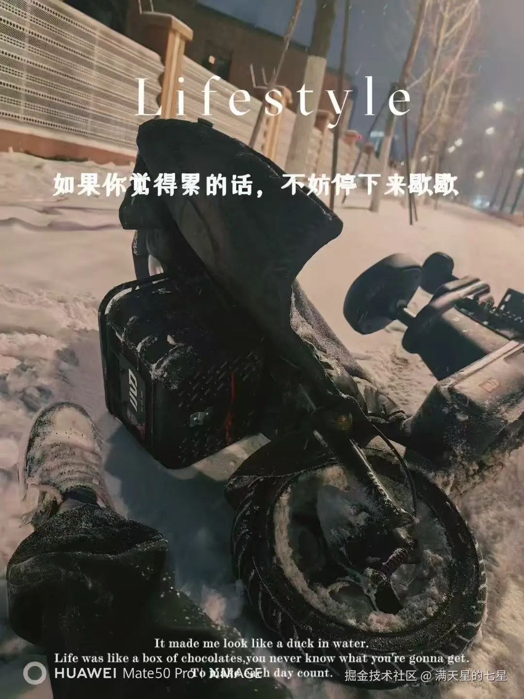 满天星的七星于2024-12-13 13:36发布的图片