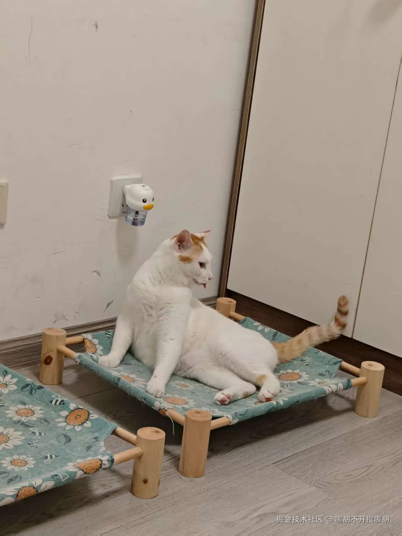 哪胡不开提哪胡于2025-09-01 11:13发布的图片