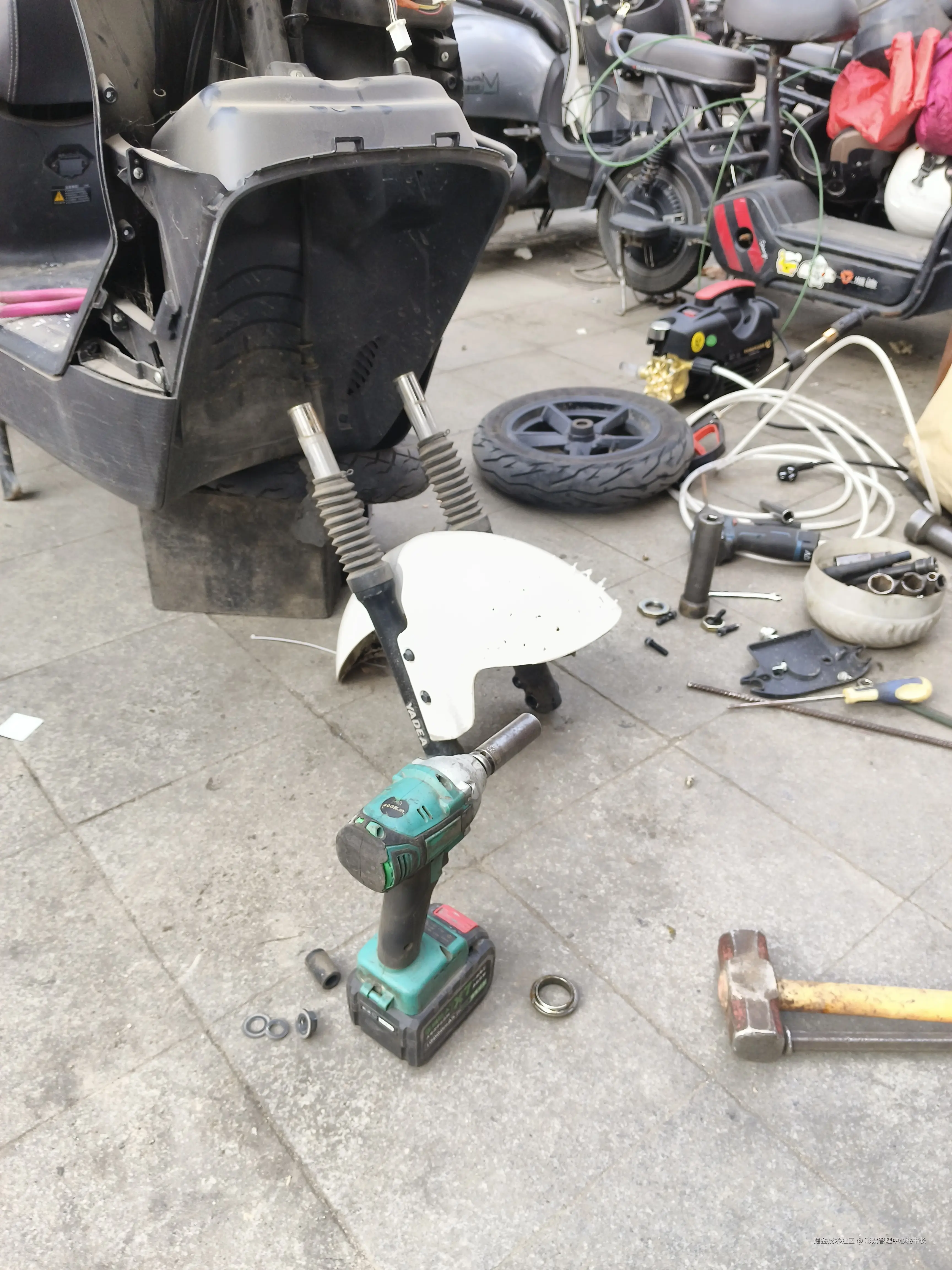 彩票管理中心秘书长于2025-11-15 11:37发布的图片