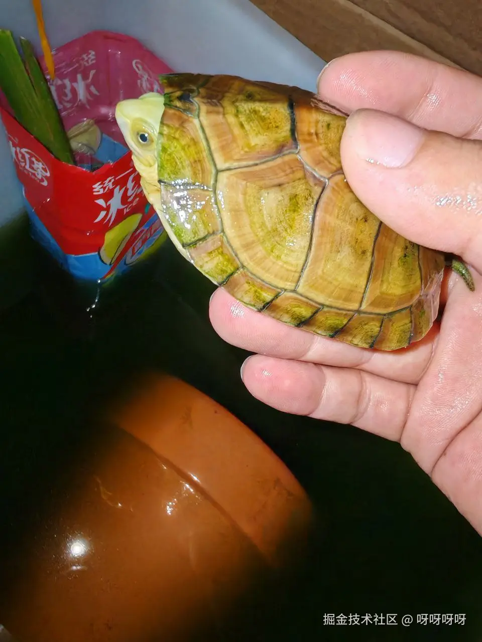 呀呀呀呀于2025-04-25 11:04发布的图片