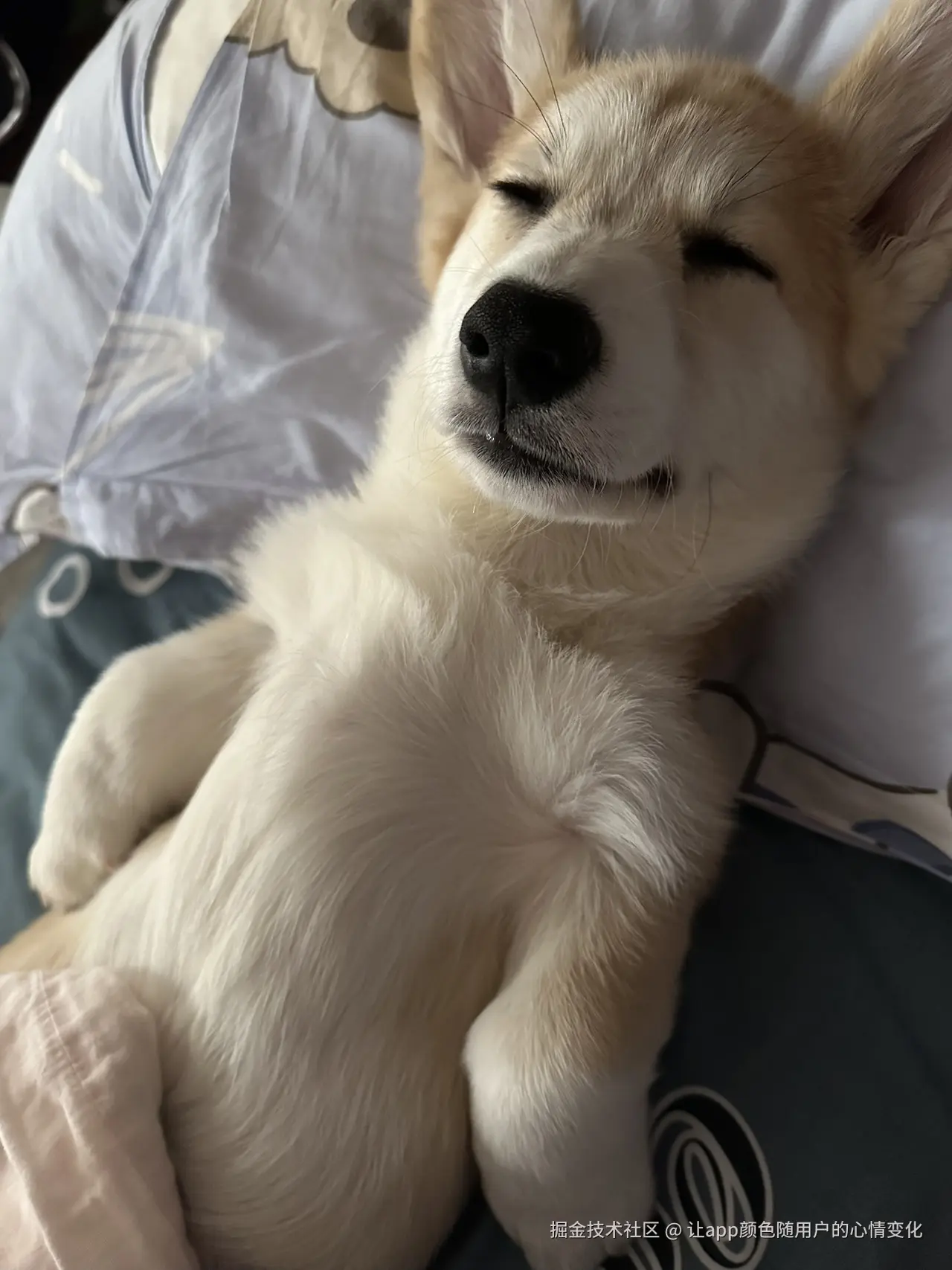 让app颜色随用户的心情变化于2024-08-22 09:26发布的图片