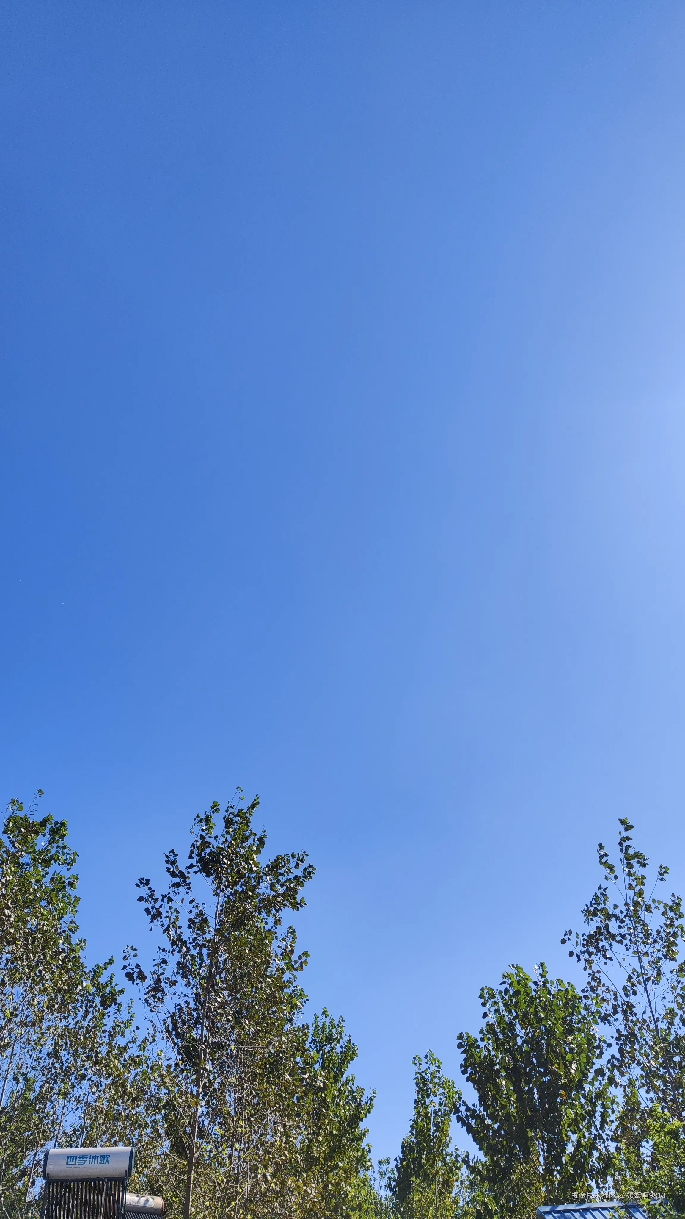 媛媛啊9813于2024-10-06 08:37发布的图片