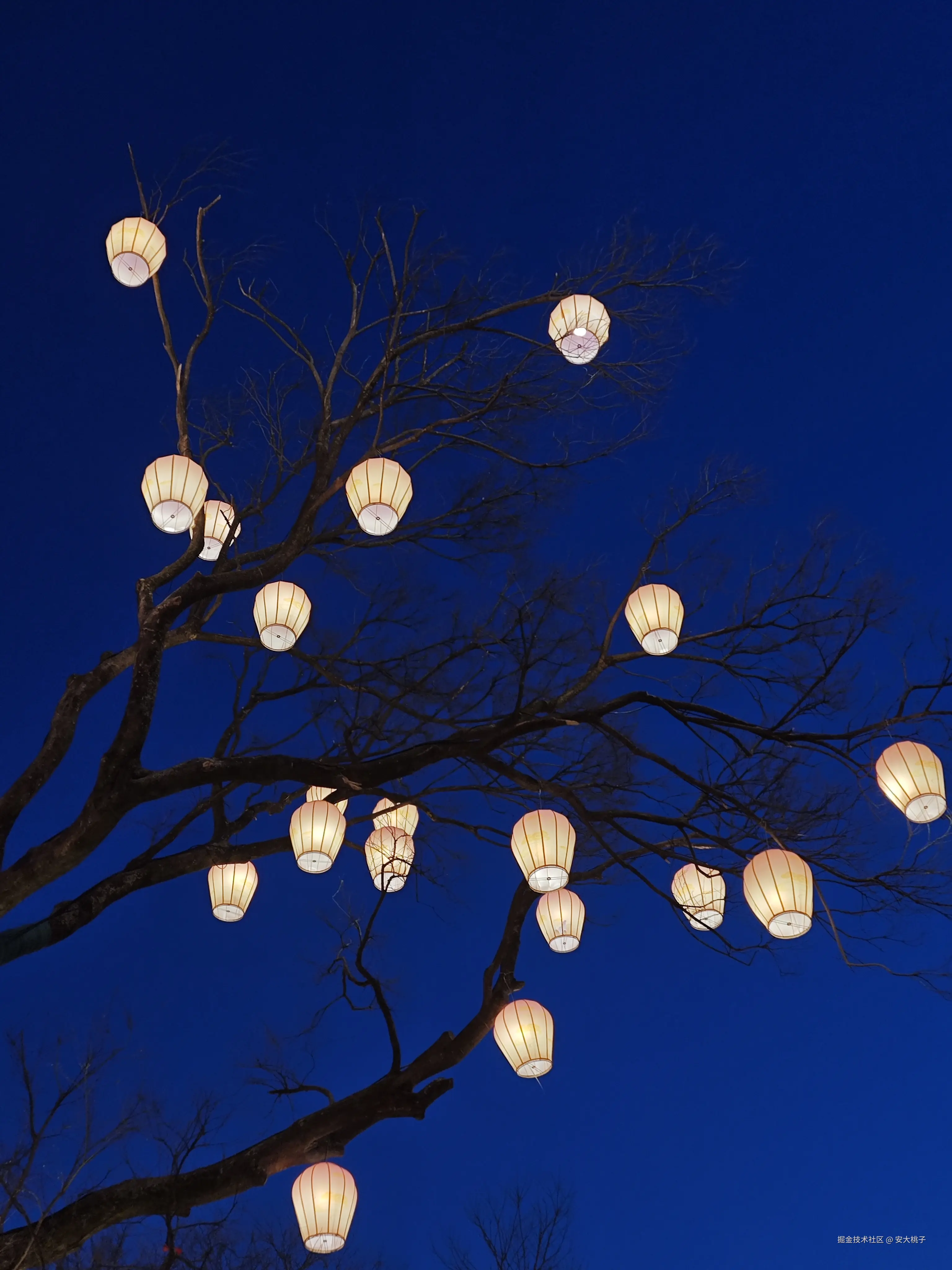 安大桃子于2026-04-04 21:15发布的图片