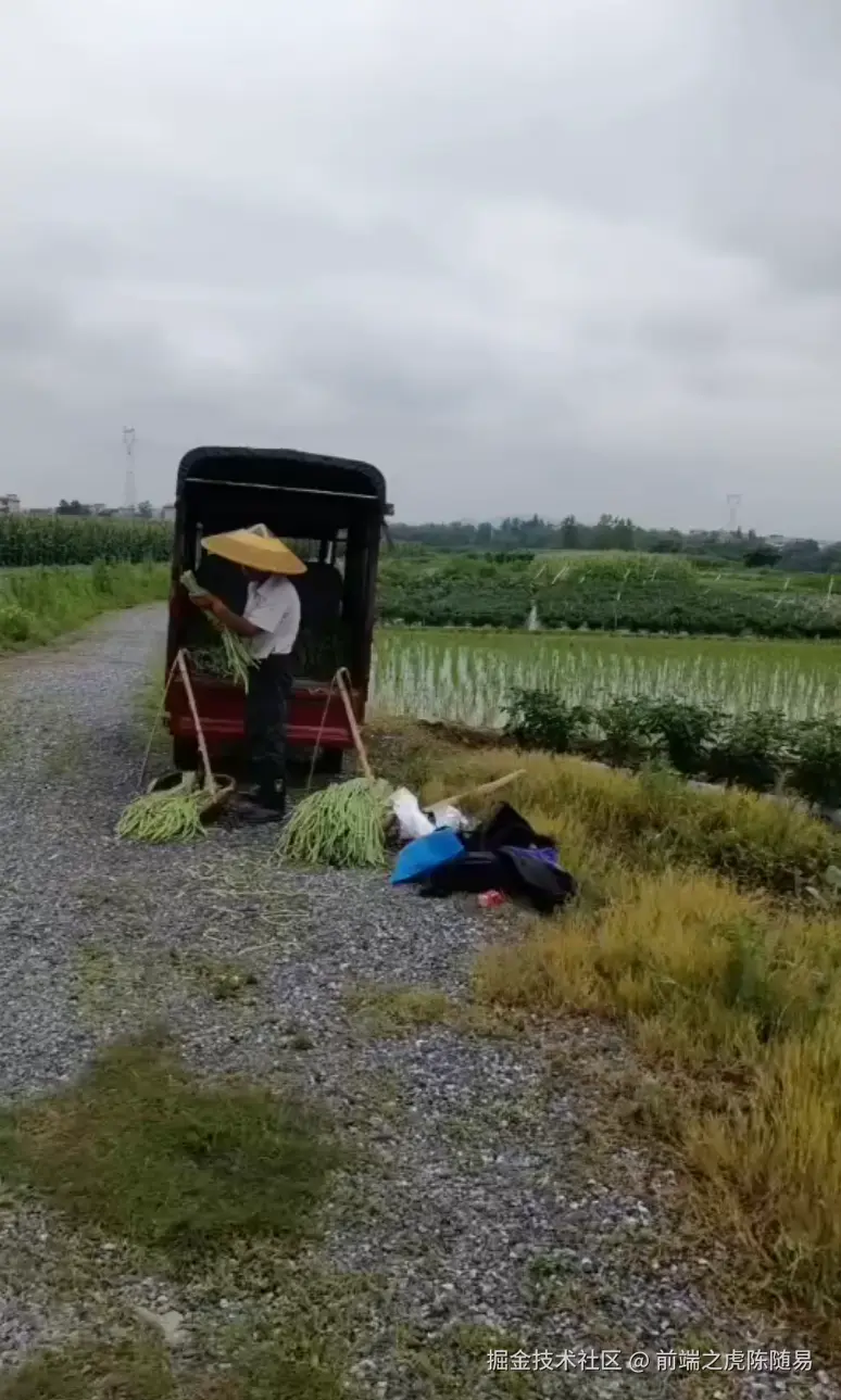 前端之虎陈随易于2025-06-17 17:41发布的图片