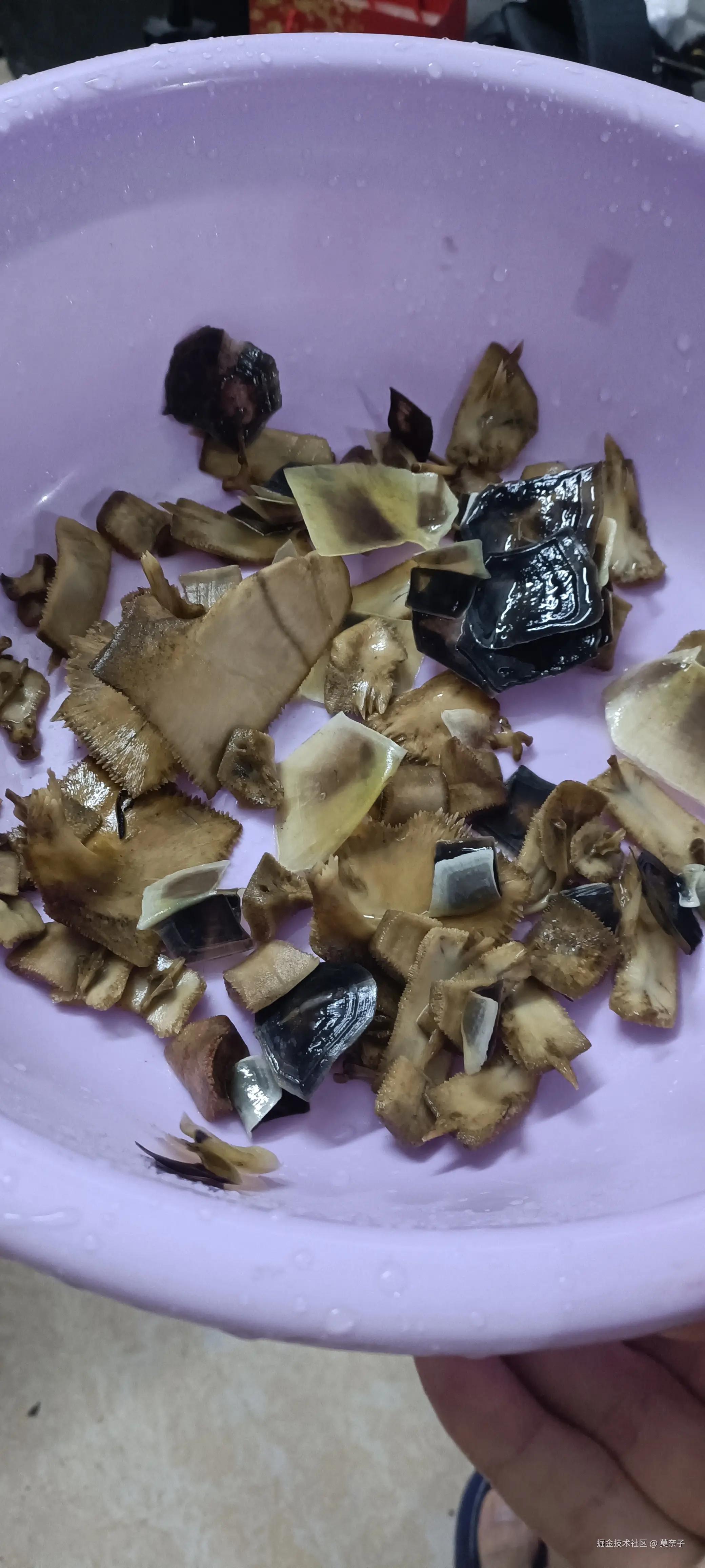 莫奈子于2025-07-15 22:52发布的图片