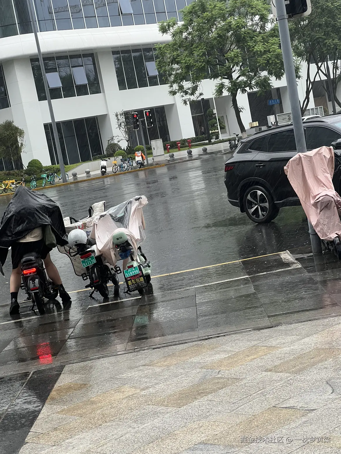 一枕梦黄粱于2024-07-17 18:02发布的图片