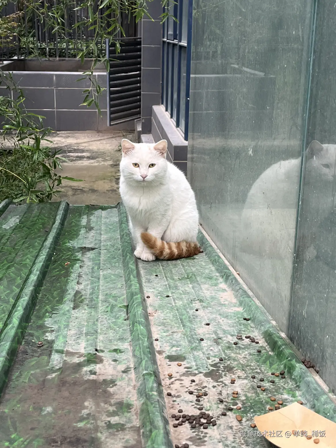 单纯_稀饭于2025-10-10 09:27发布的图片