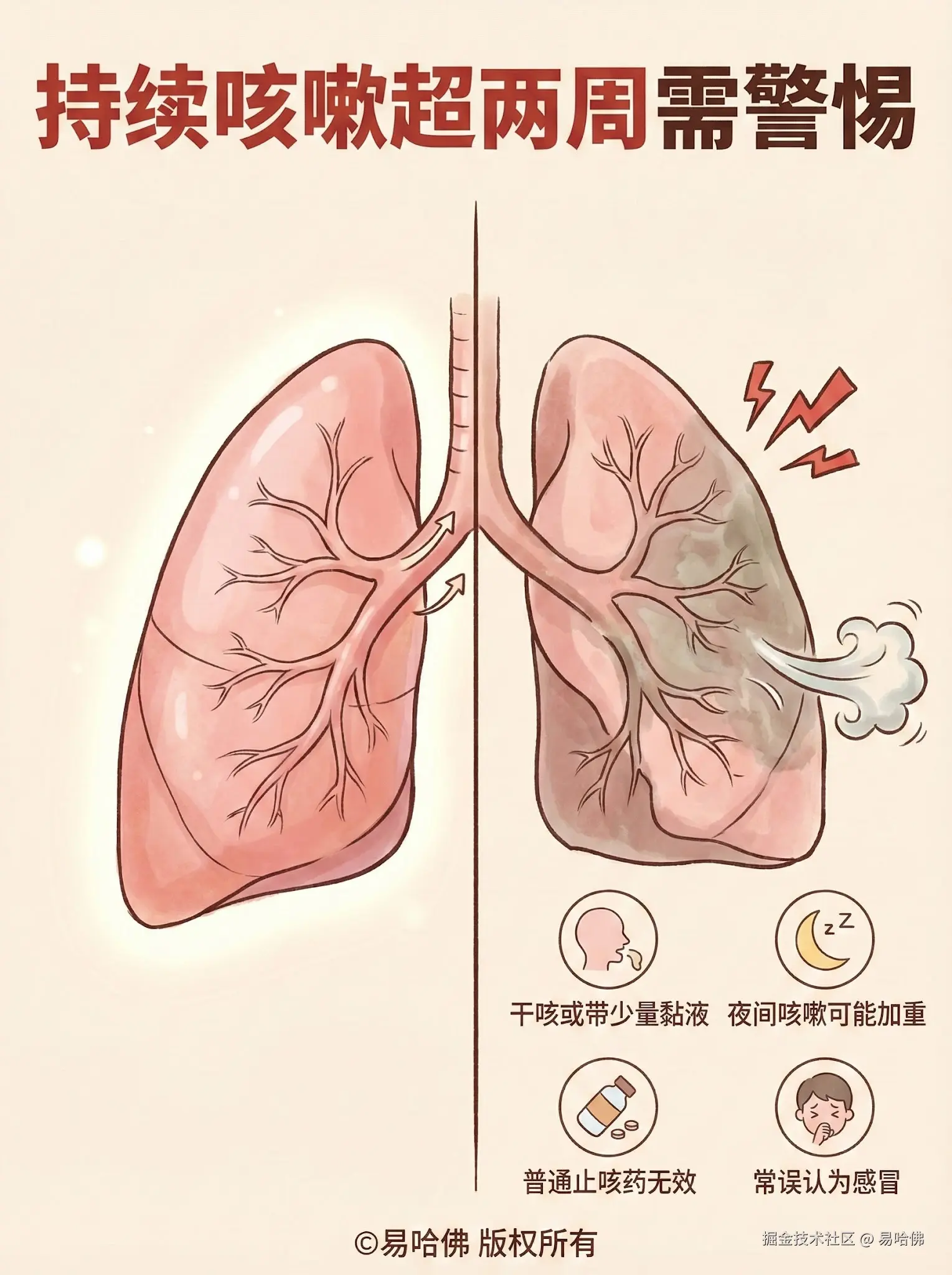 易哈佛于2026-01-04 08:22发布的图片
