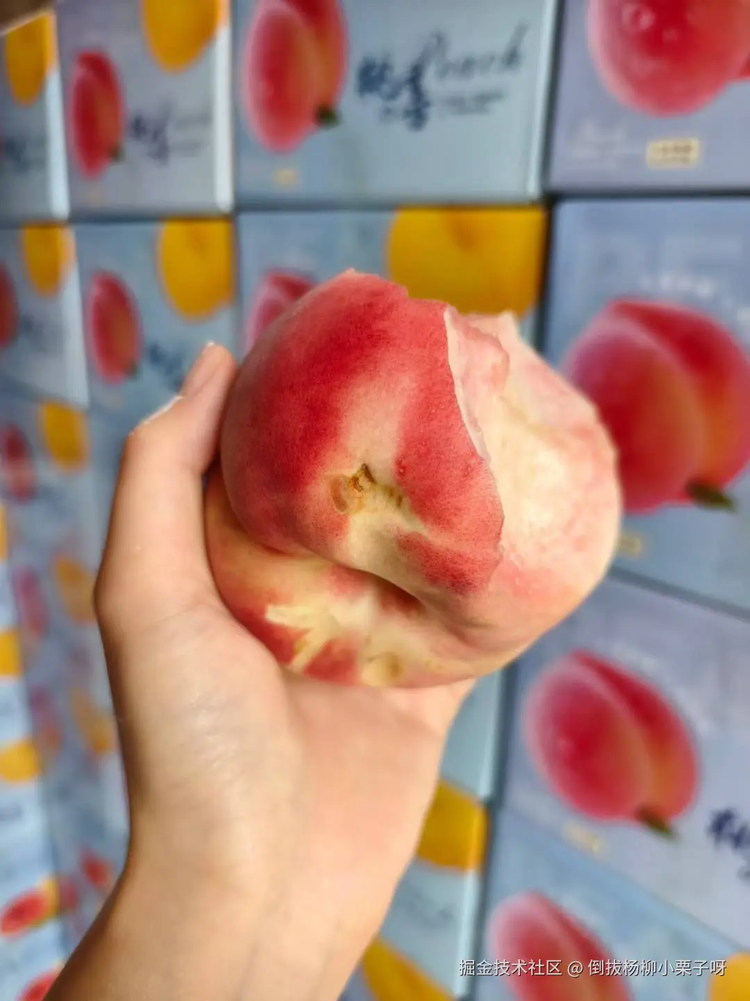 倒拔杨柳小栗子呀于2025-07-21 08:00发布的图片