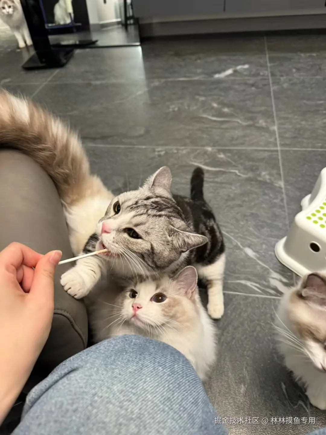 林林摸鱼专用于2024-10-29 11:33发布的图片