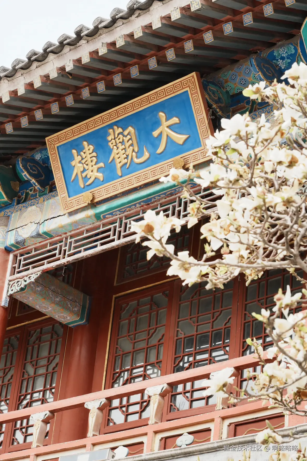 啊略略略于2025-03-24 10:24发布的图片