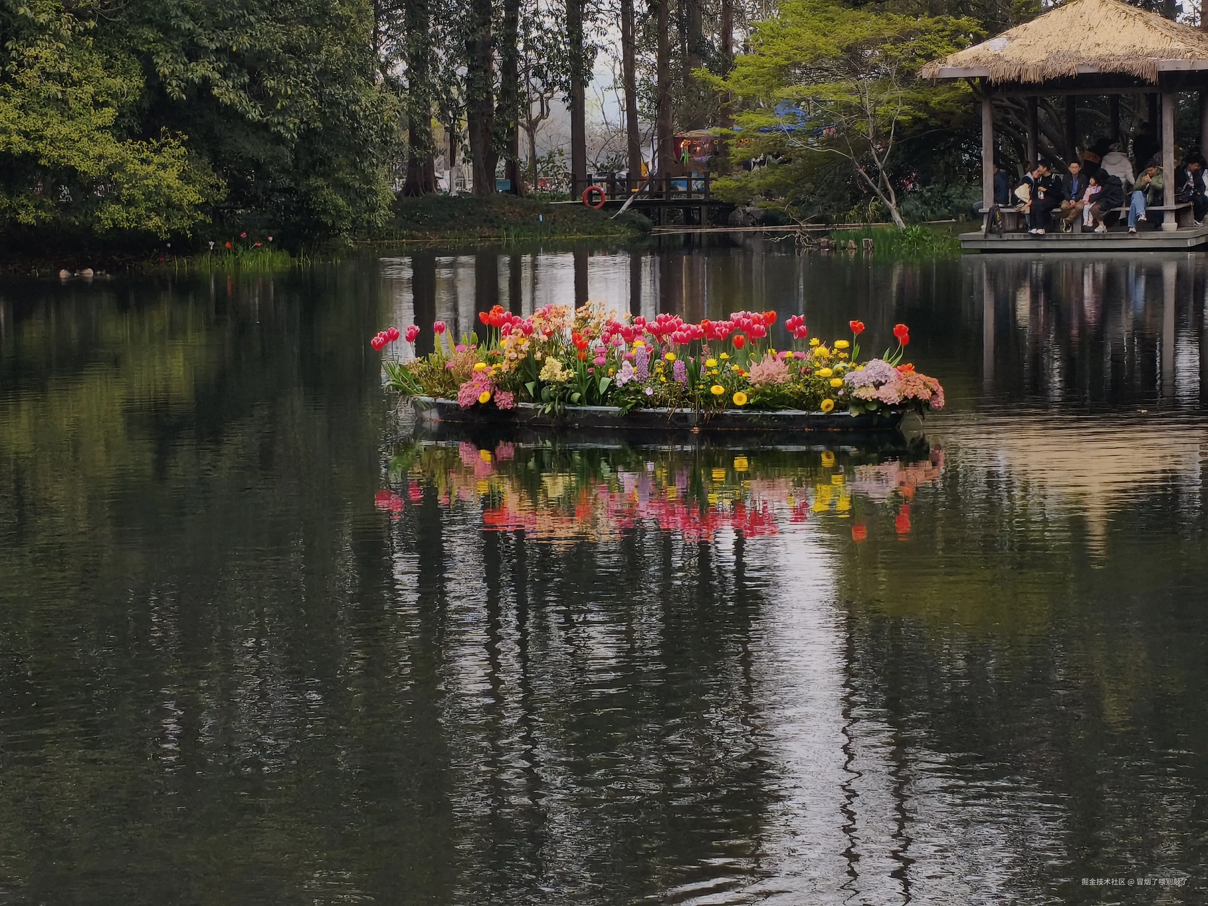 冒烟了喂别敲了于2026-03-23 12:05发布的图片