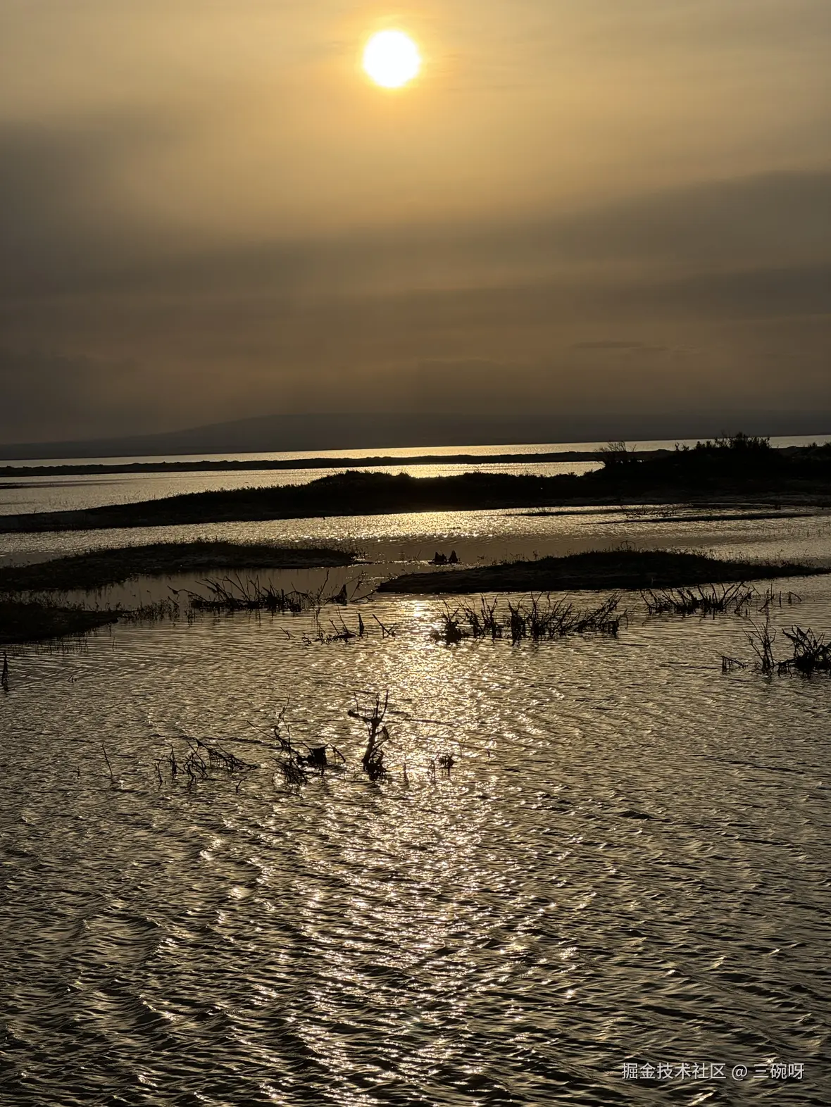 三碗呀于2025-10-15 16:19发布的图片